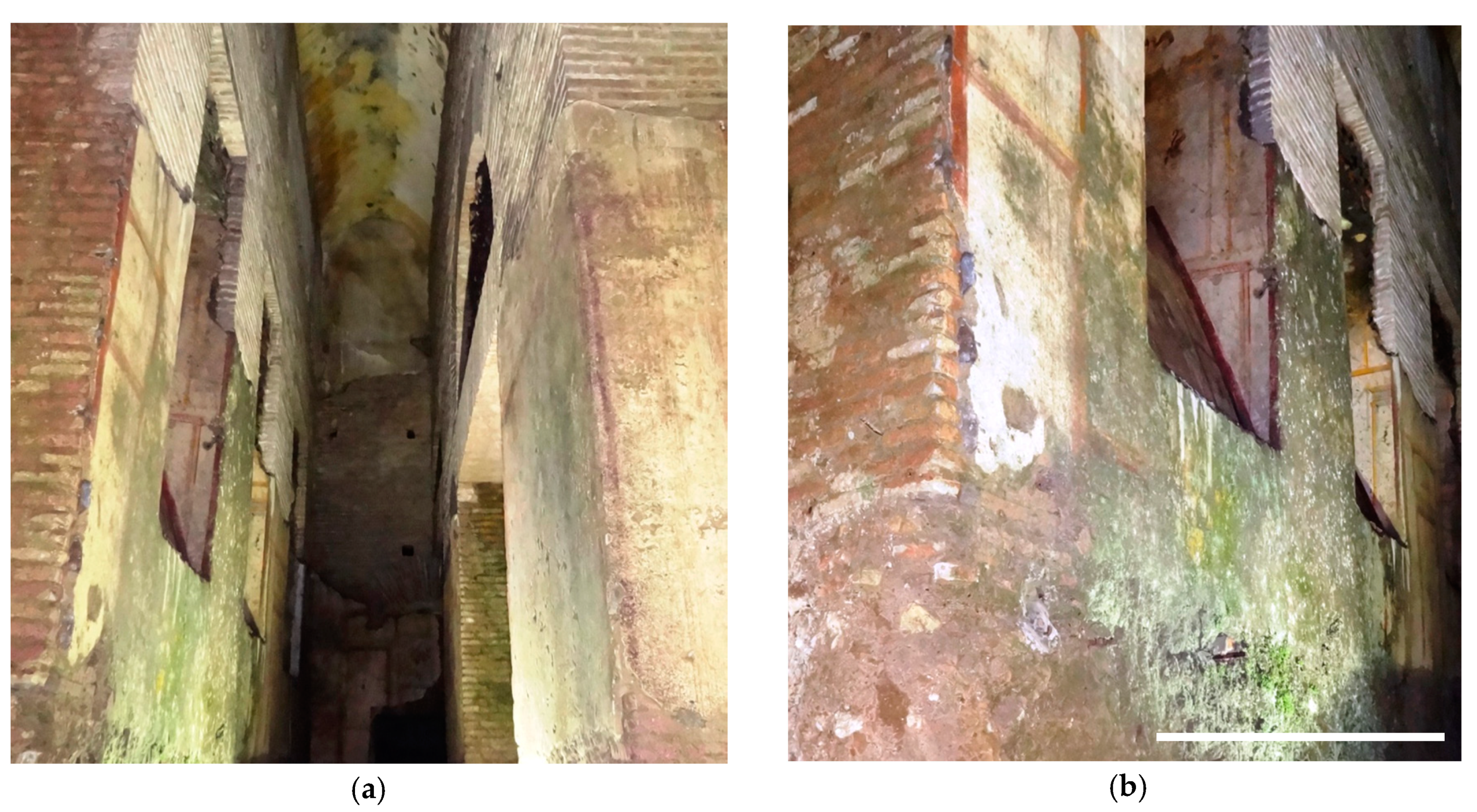 Applsci 10 06584 g002