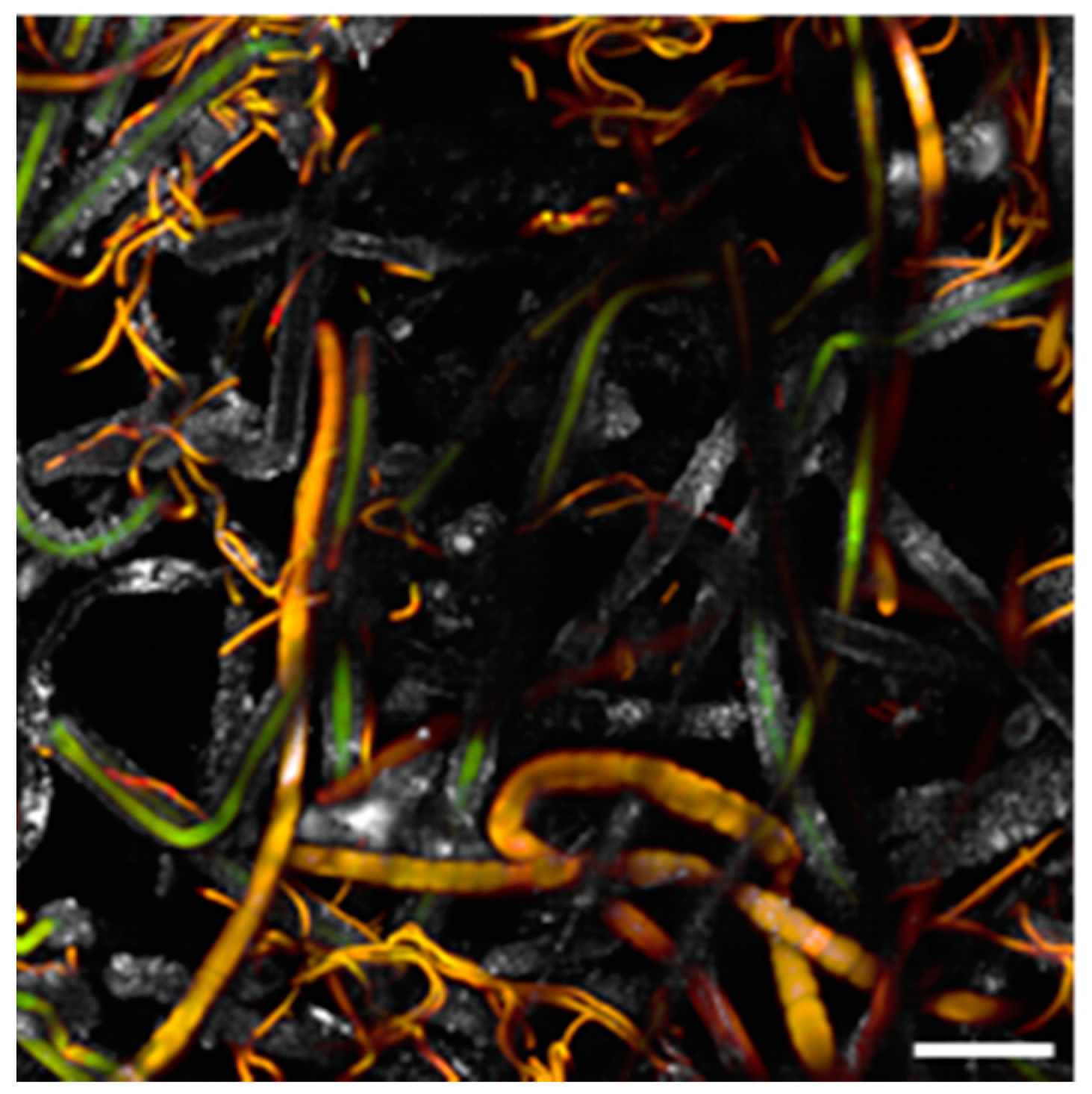 Applsci 10 06584 g003