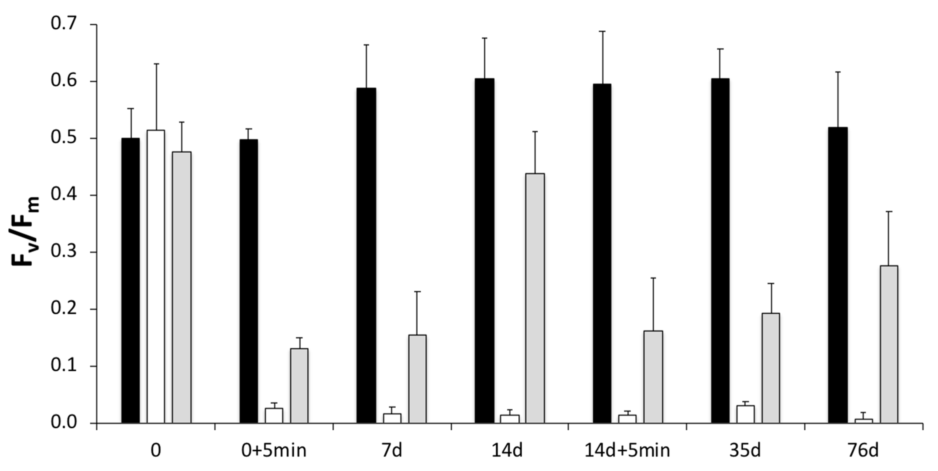 Applsci 10 06584 g006