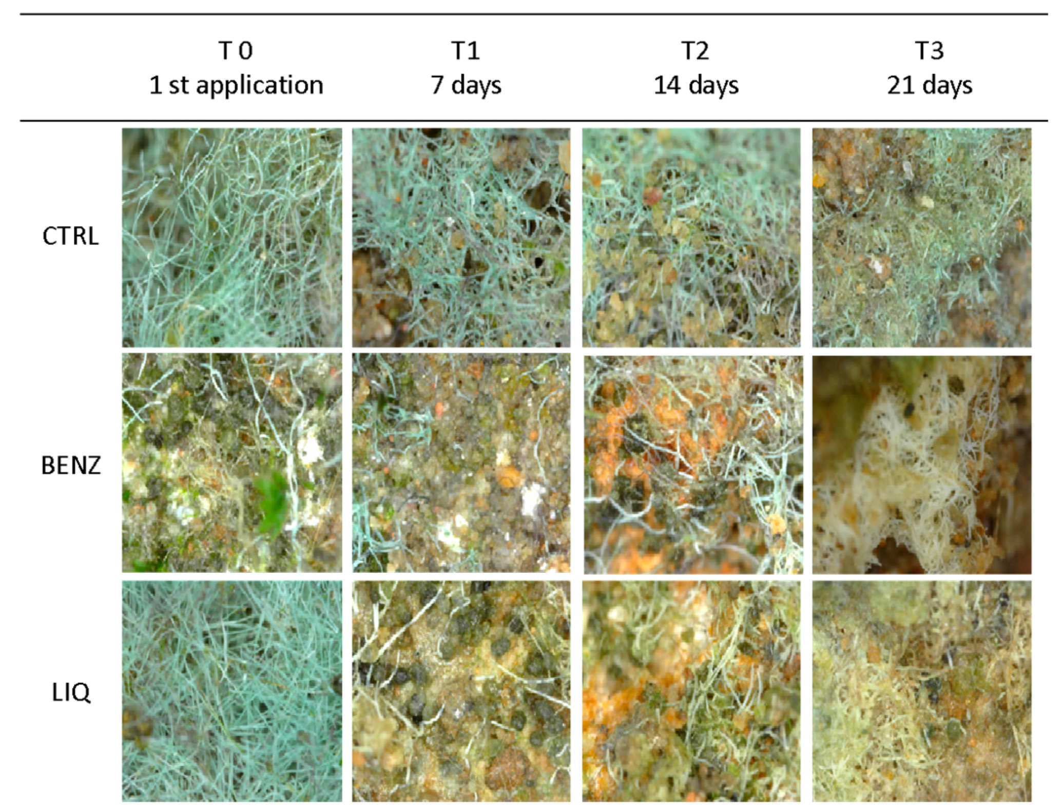 Applsci 10 06584 g007