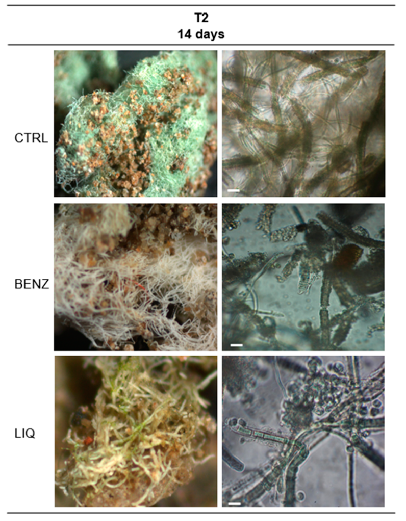 Applsci 10 06584 g008