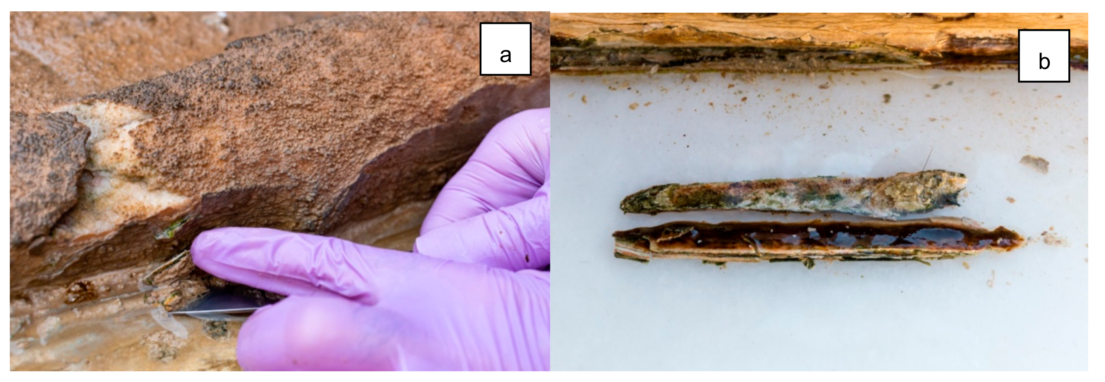 Applsci 10 06603 g004