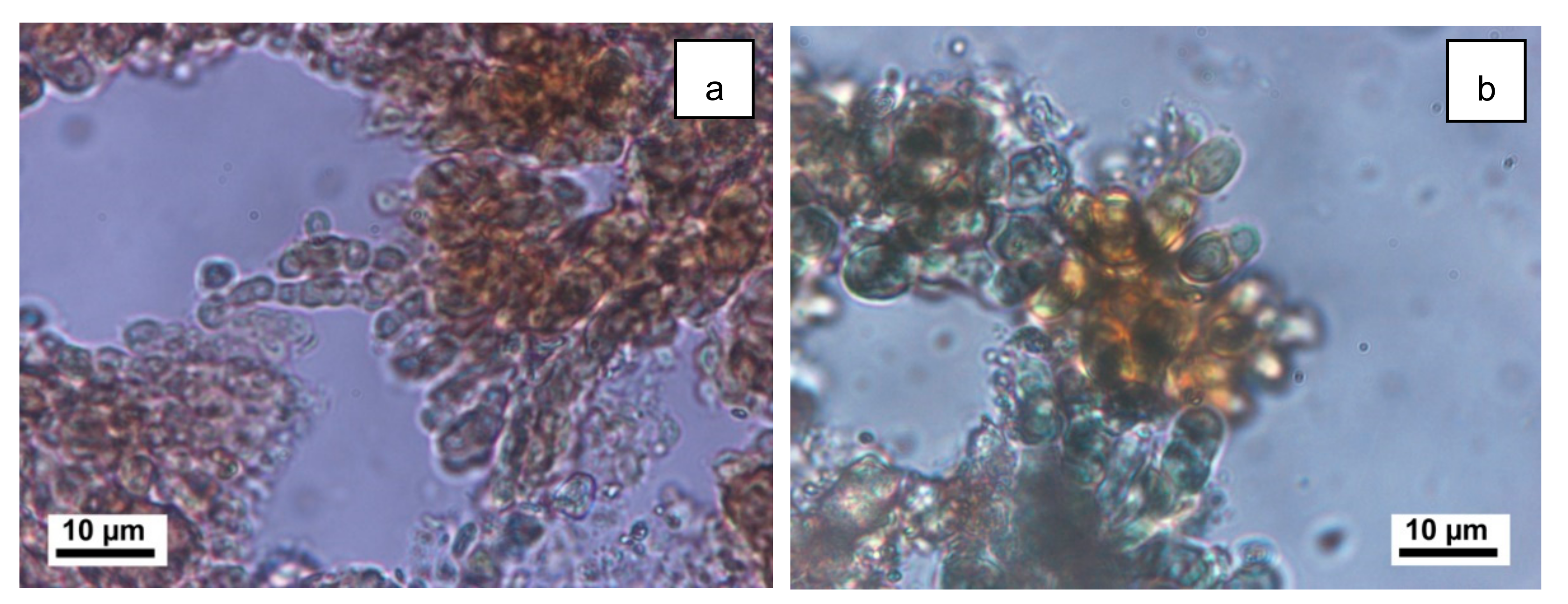 Applsci 10 06603 g007