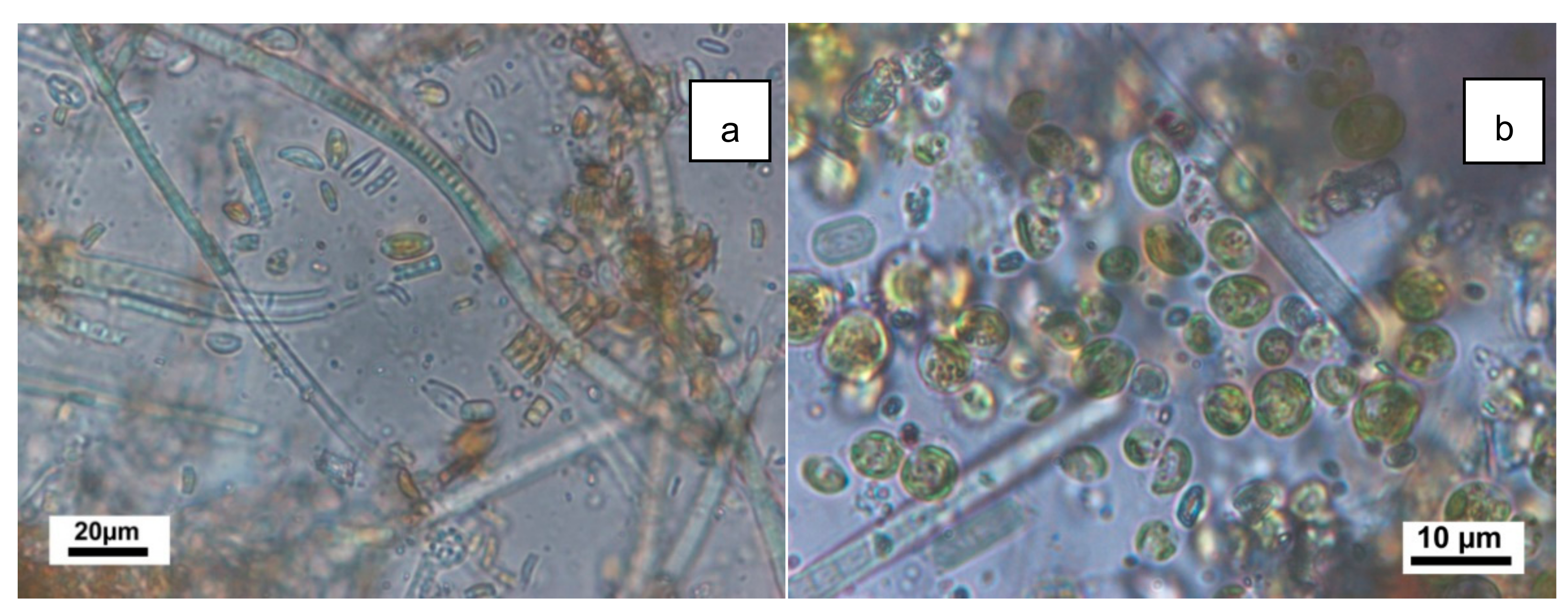 Applsci 10 06603 g008