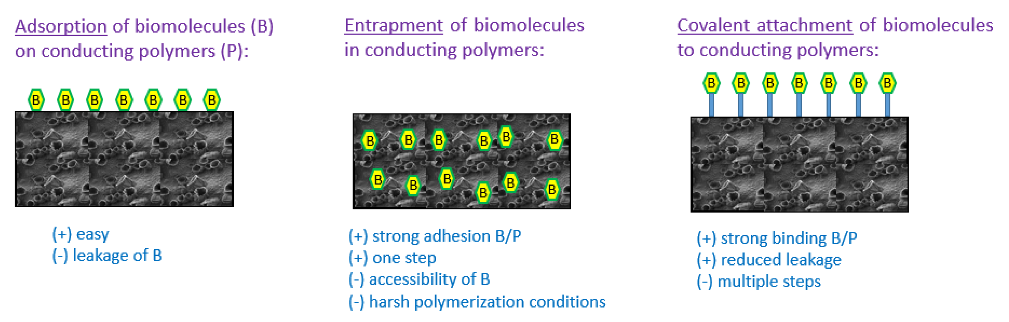 Applsci 10 06614 g001 Applsci 10 06614 g001