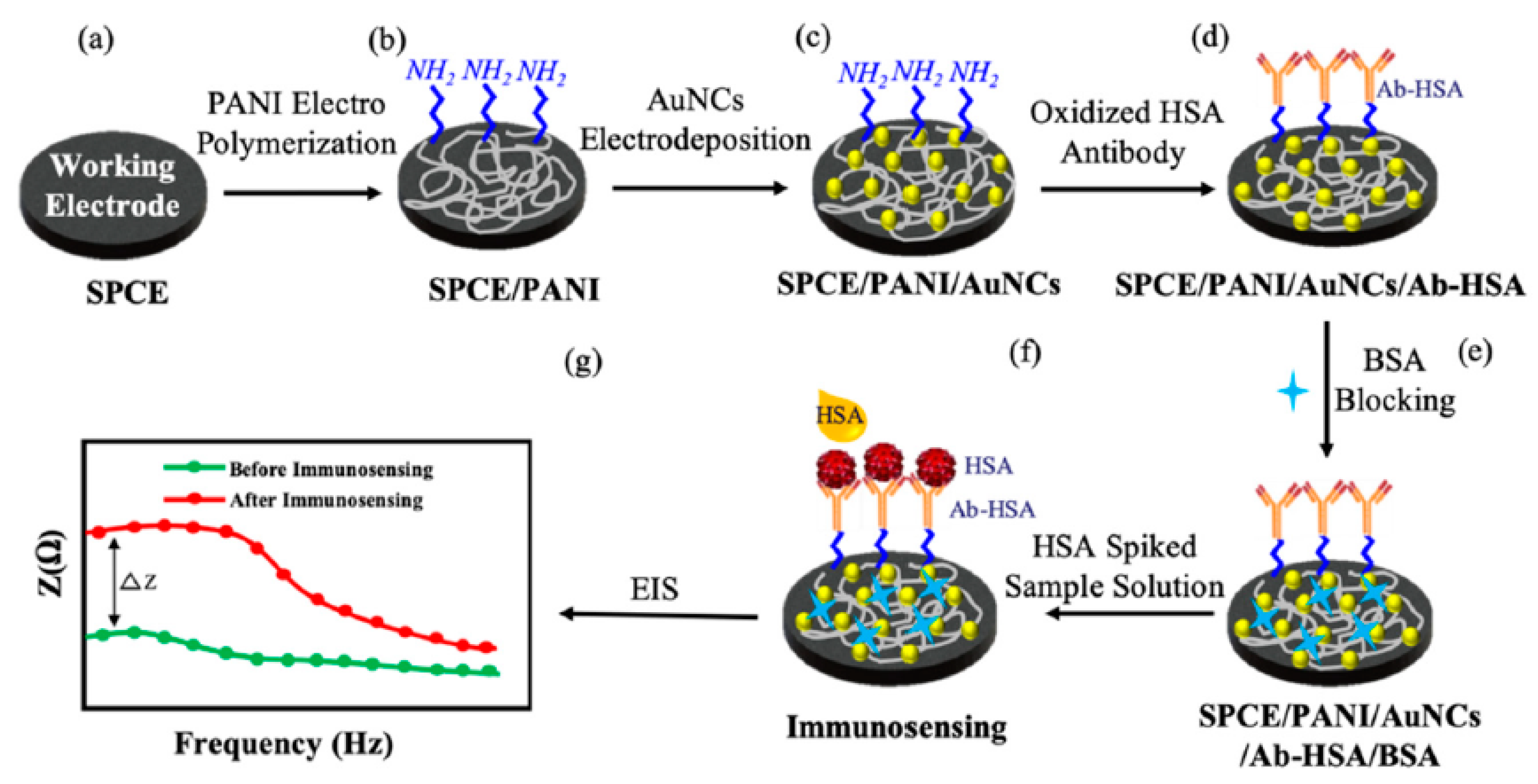 Applsci 10 06614 g005 Applsci 10 06614 g005