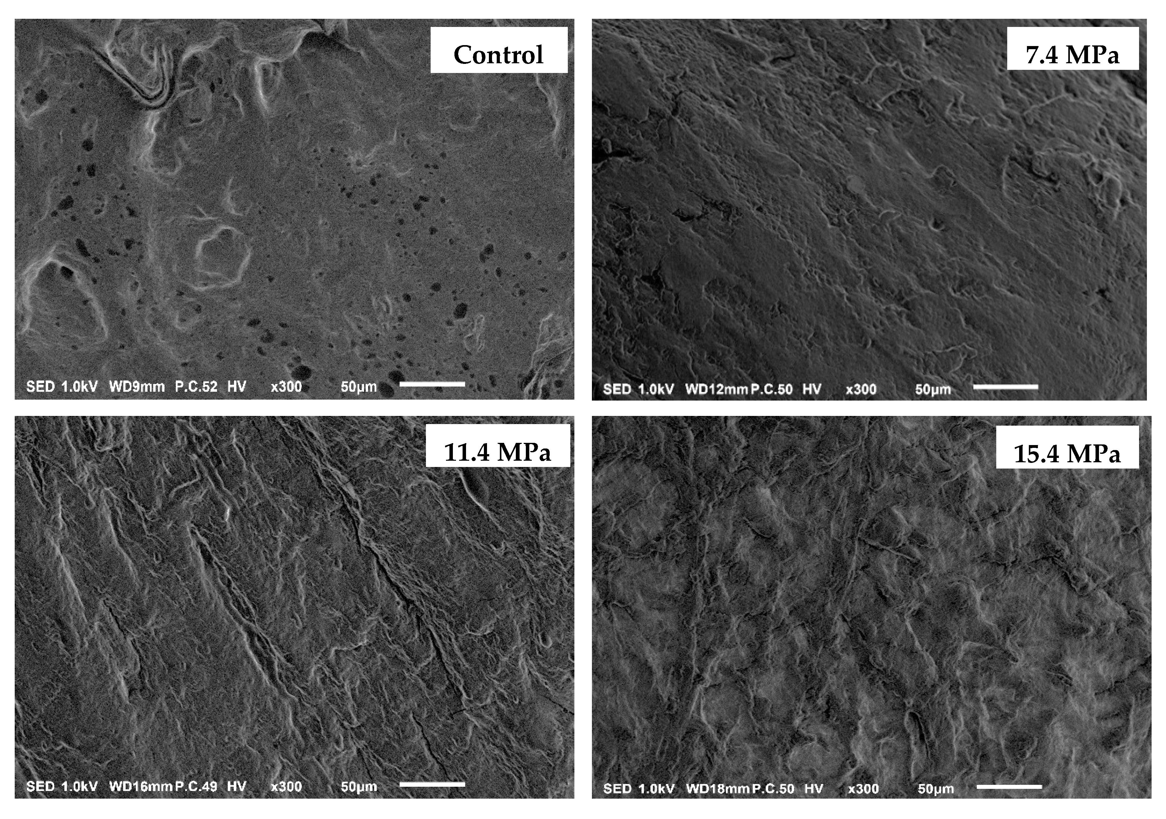 Applsci 10 06629 g001