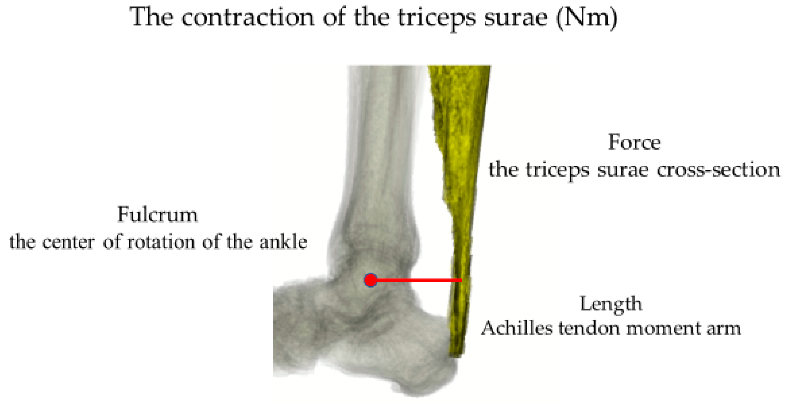 Applsci 10 06631 g001