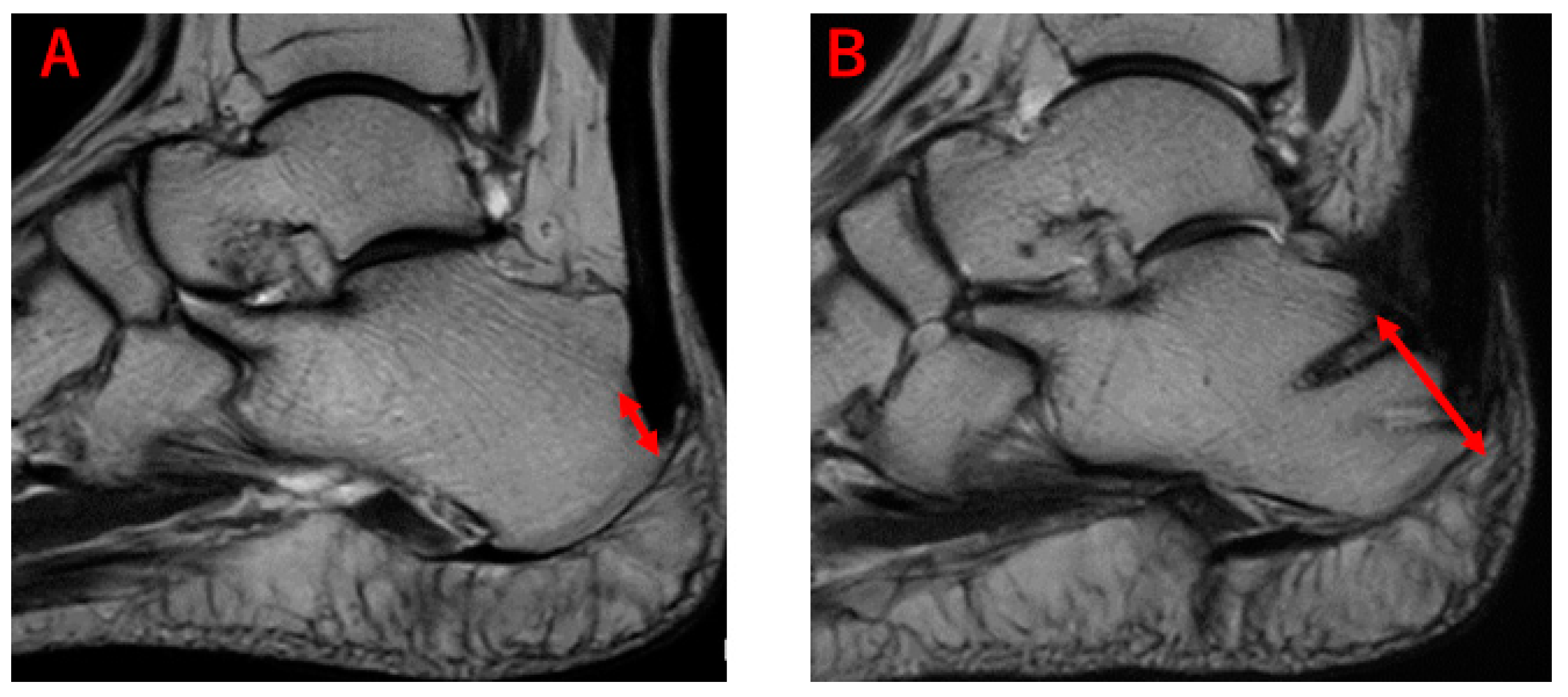 Applsci 10 06631 g006