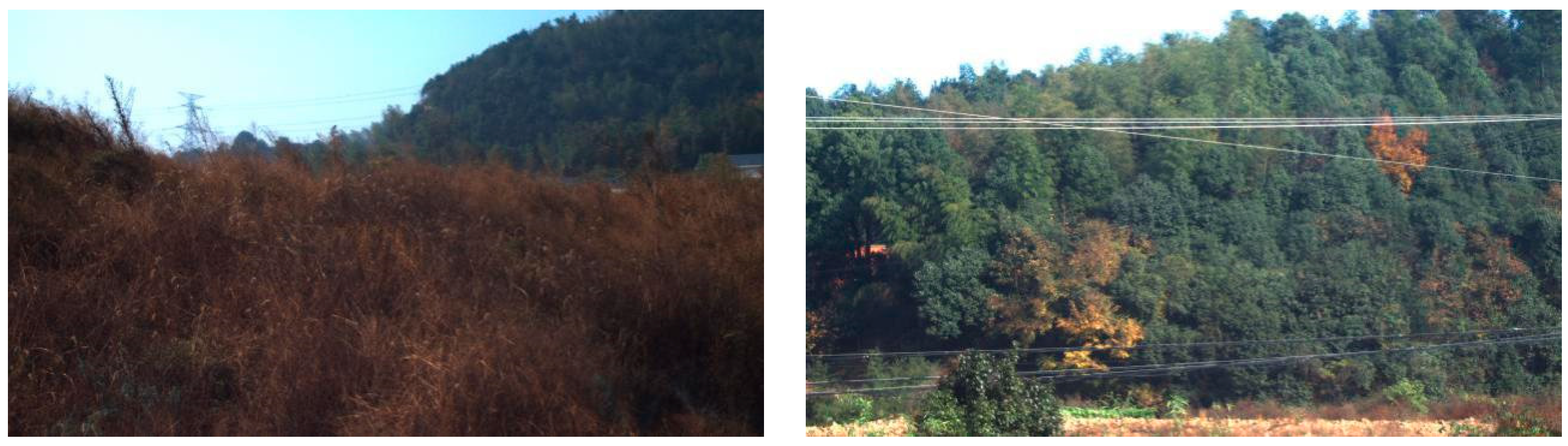 Applsci 10 06661 g029