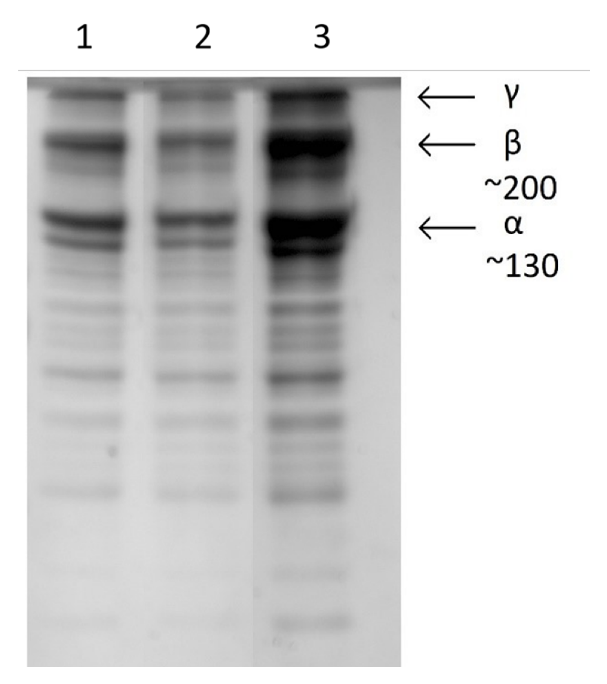 Applsci 10 06670 g008 Applsci 10 06670 g008