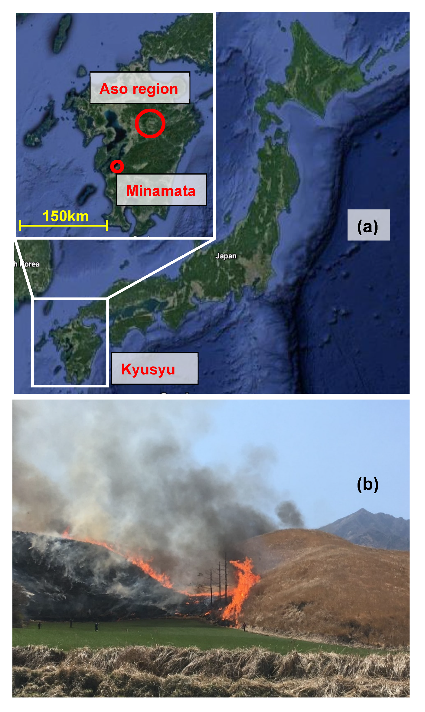 Applsci 10 06691 g003