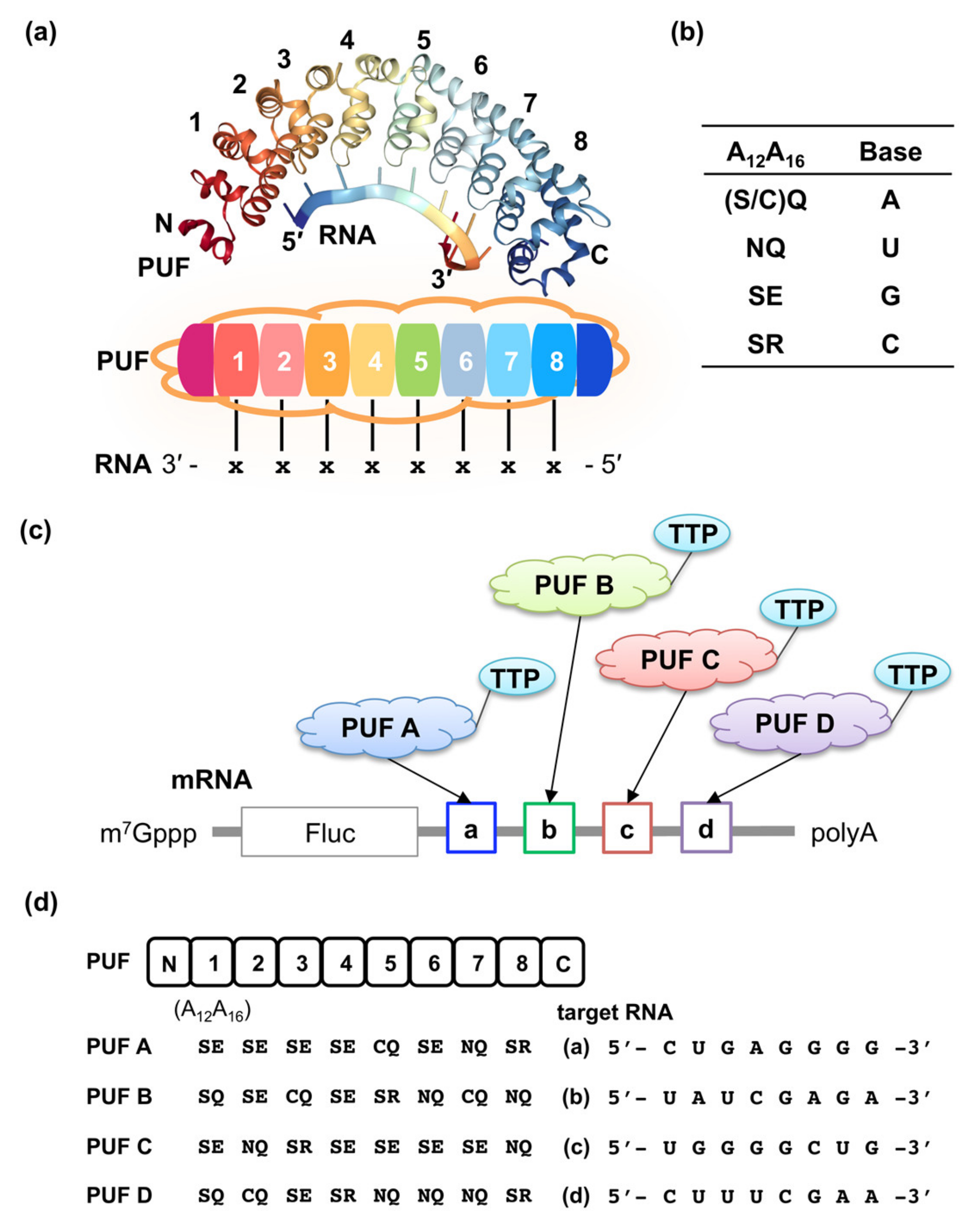 Applsci 10 06803 g001 Applsci 10 06803 g001
