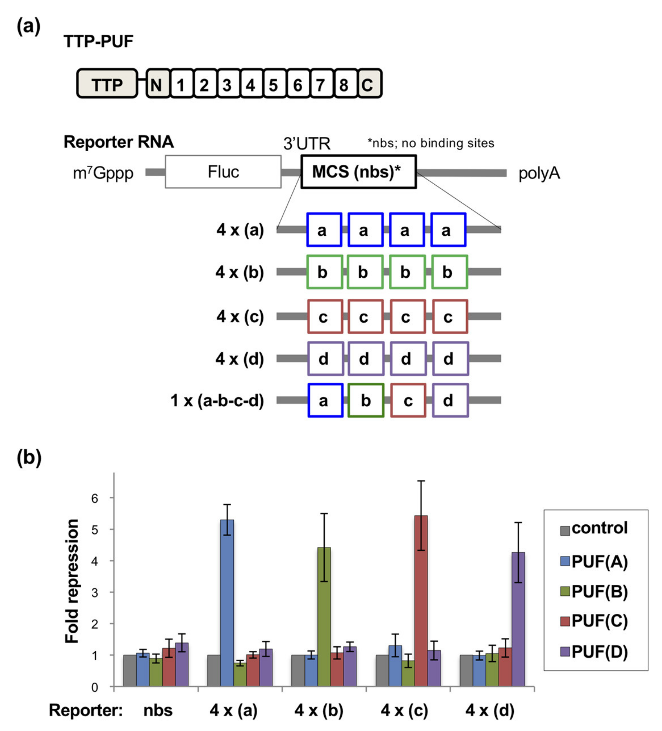 Applsci 10 06803 g003 Applsci 10 06803 g003