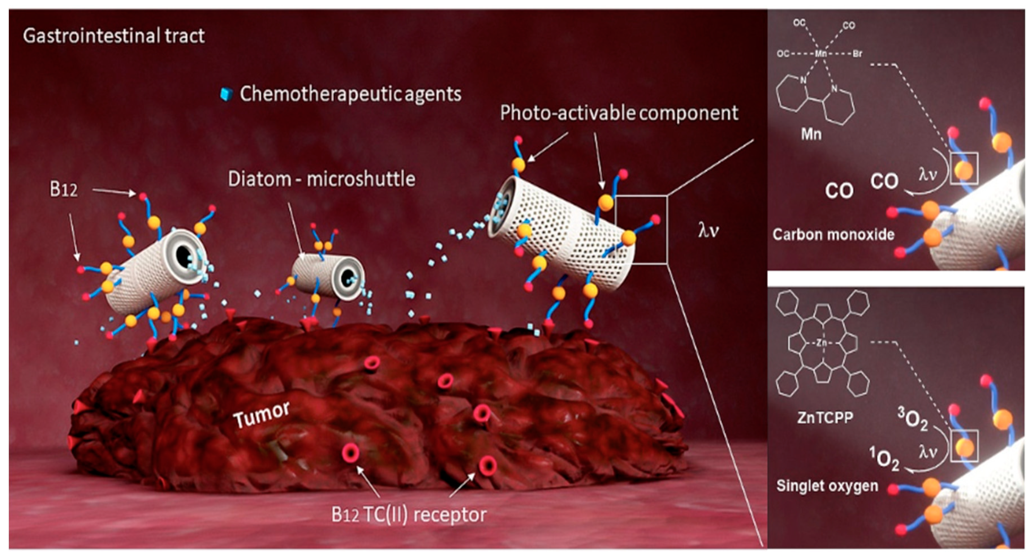 Applsci 10 06811 g002