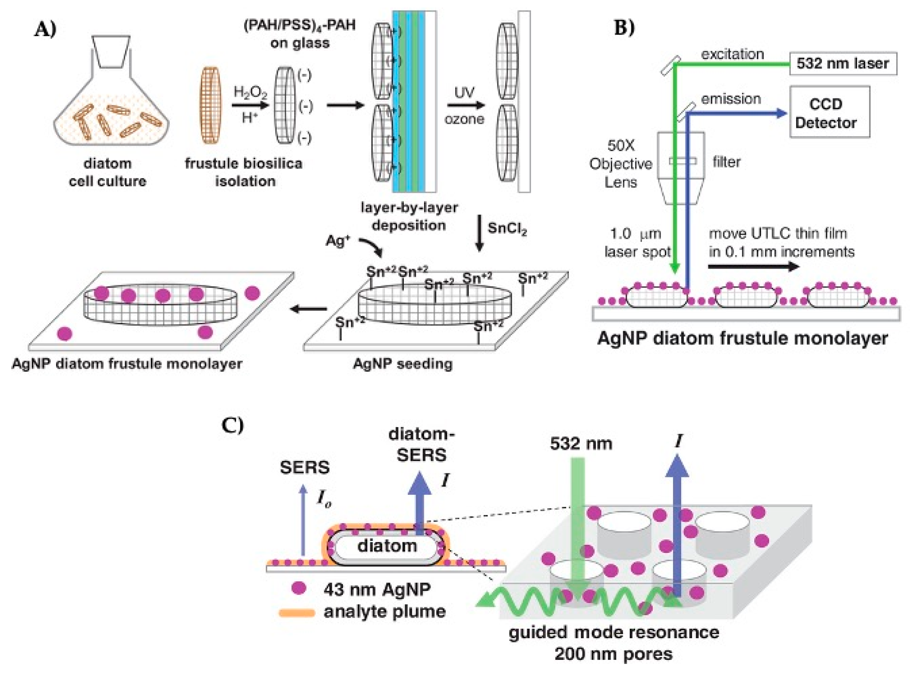 Applsci 10 06811 g004