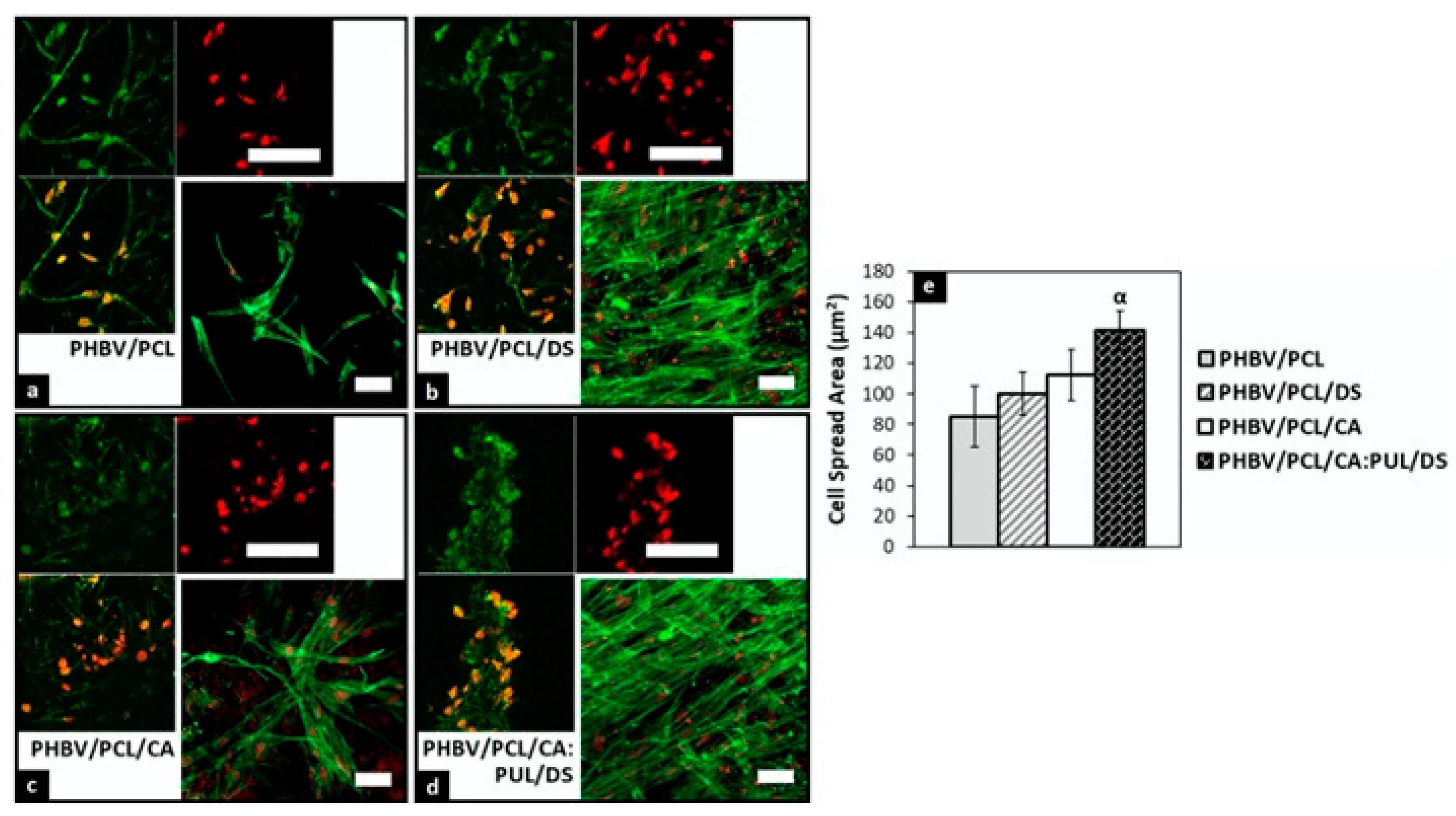 Applsci 10 06811 g005