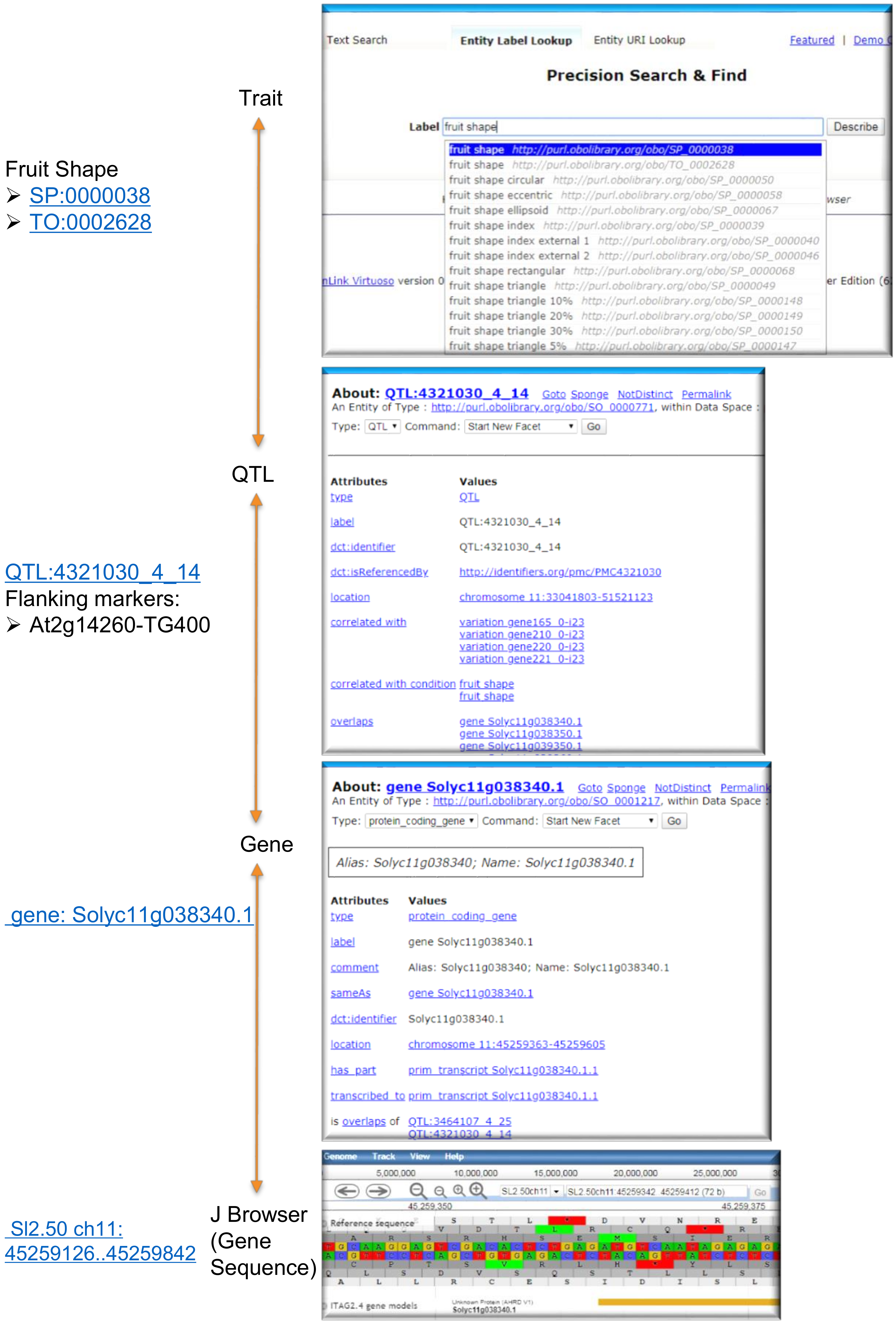 Applsci 10 06813 g002