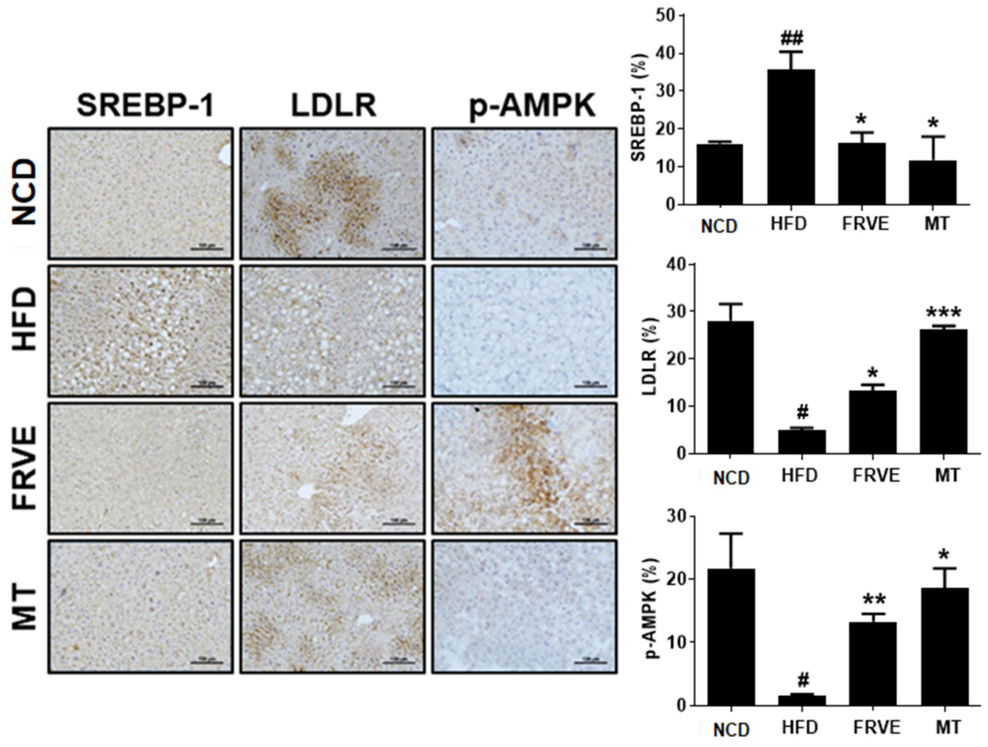 Applsci 10 06833 g006