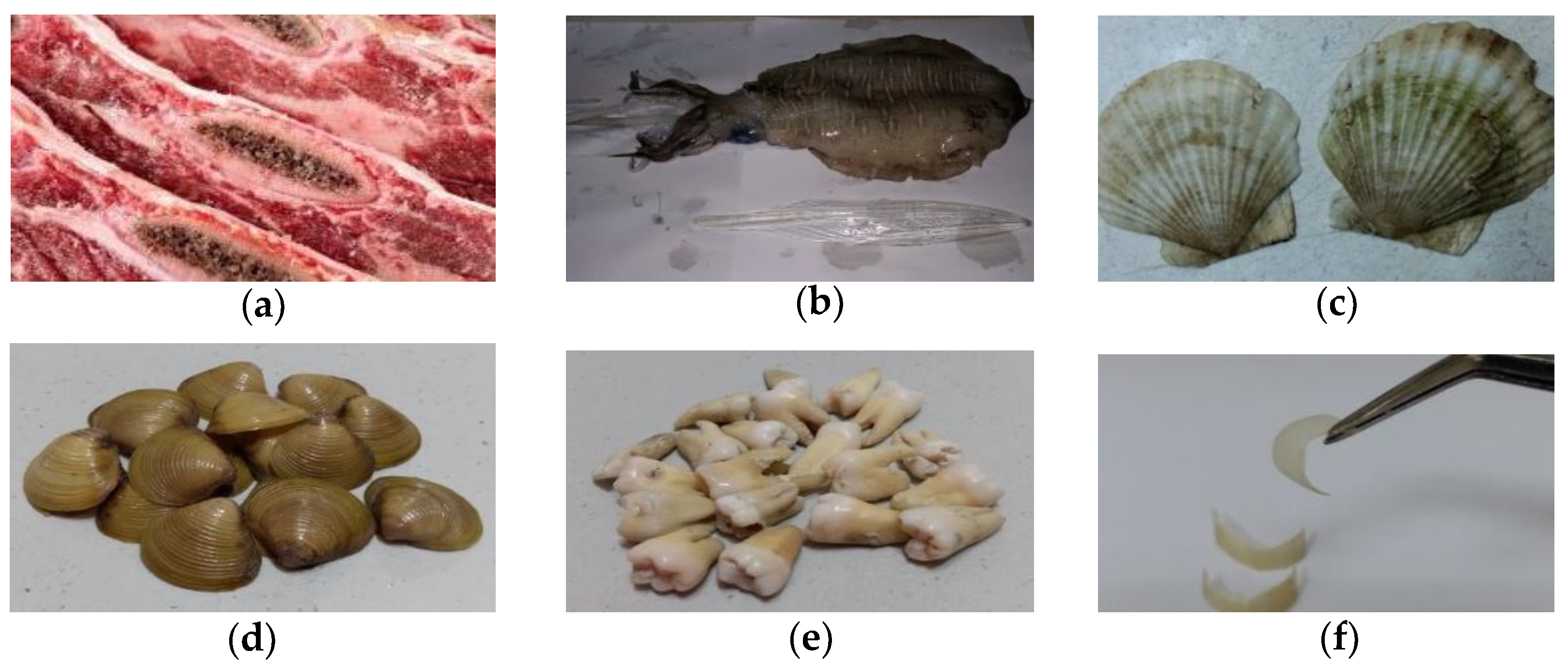 Applsci 10 06867 g001