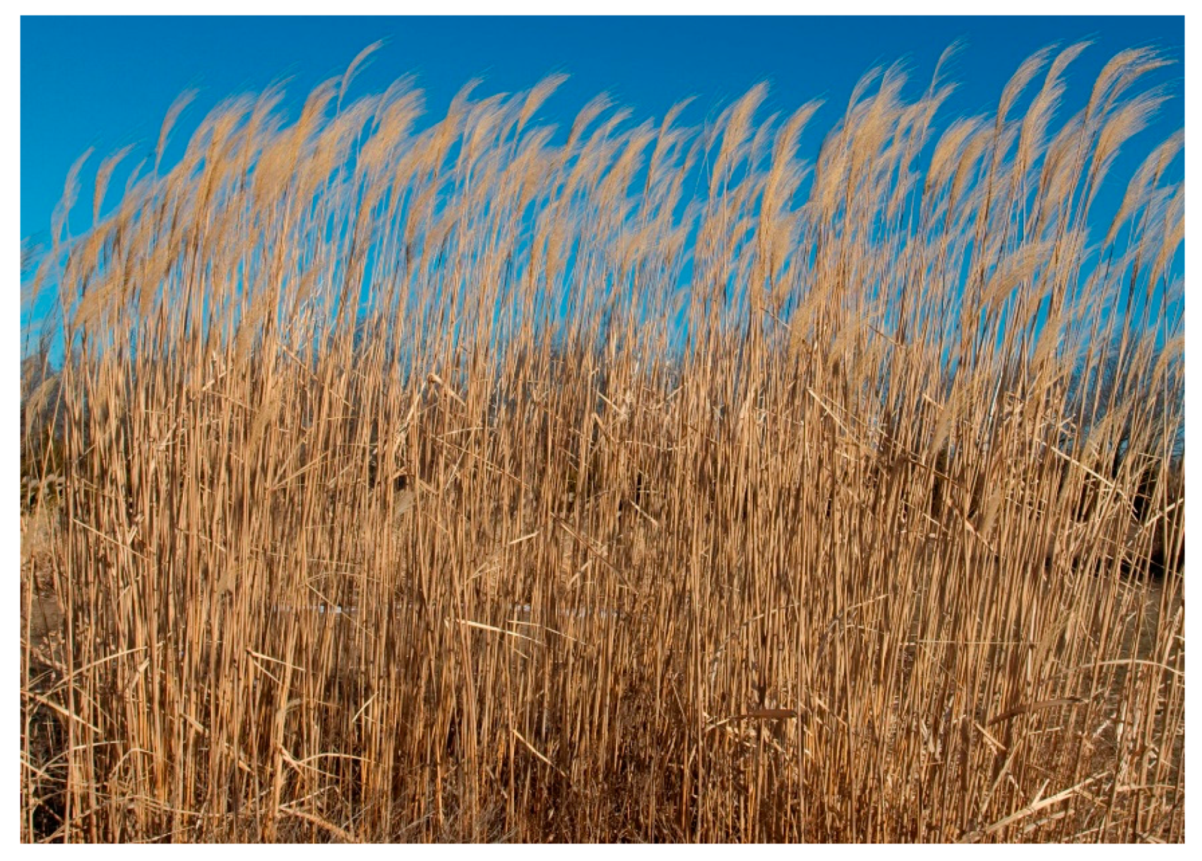 Applsci 10 06881 g002