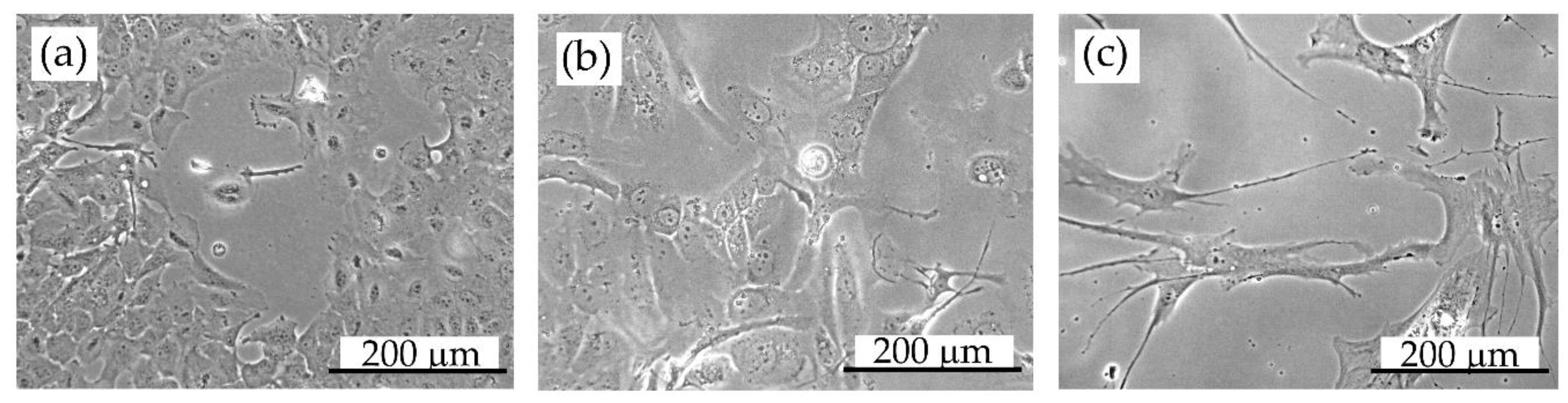 Applsci 10 06895 g007 Applsci 10 06895 g007