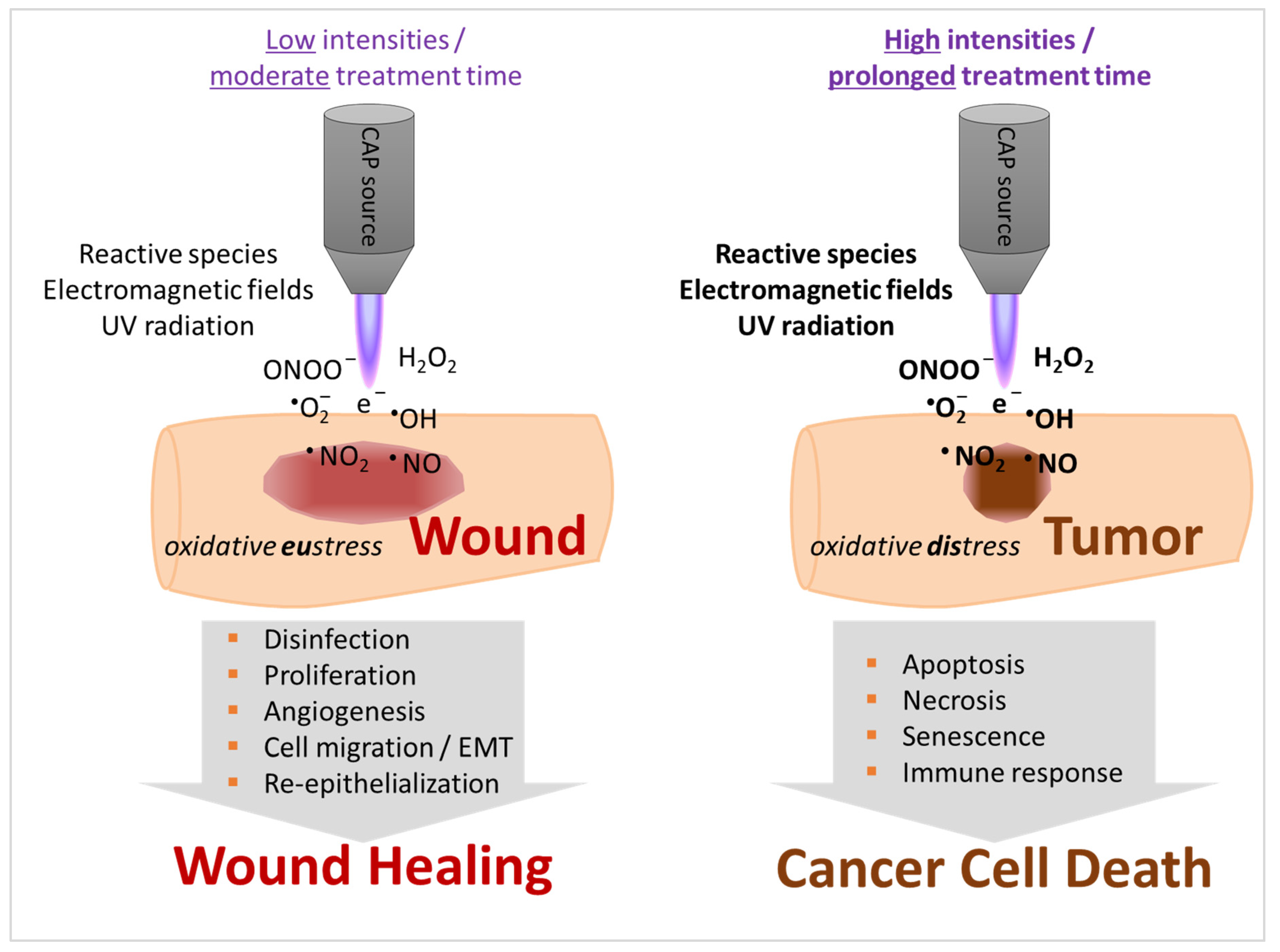 Applsci 10 06898 g001 Applsci 10 06898 g001
