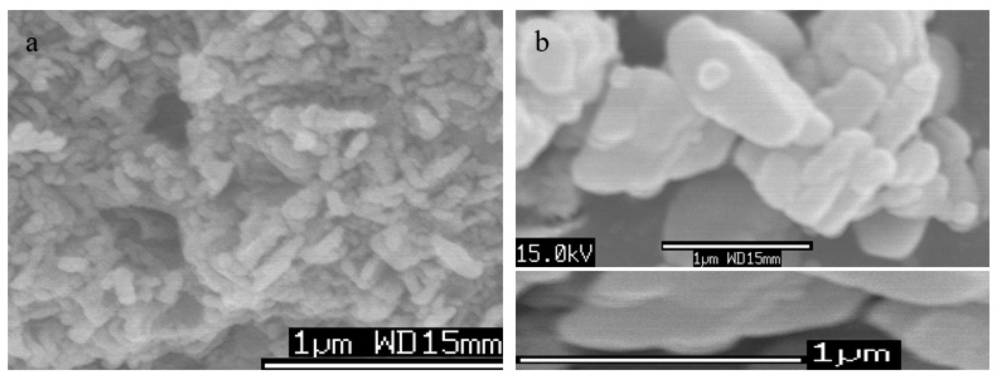 Applsci 10 06935 g007 Applsci 10 06935 g007