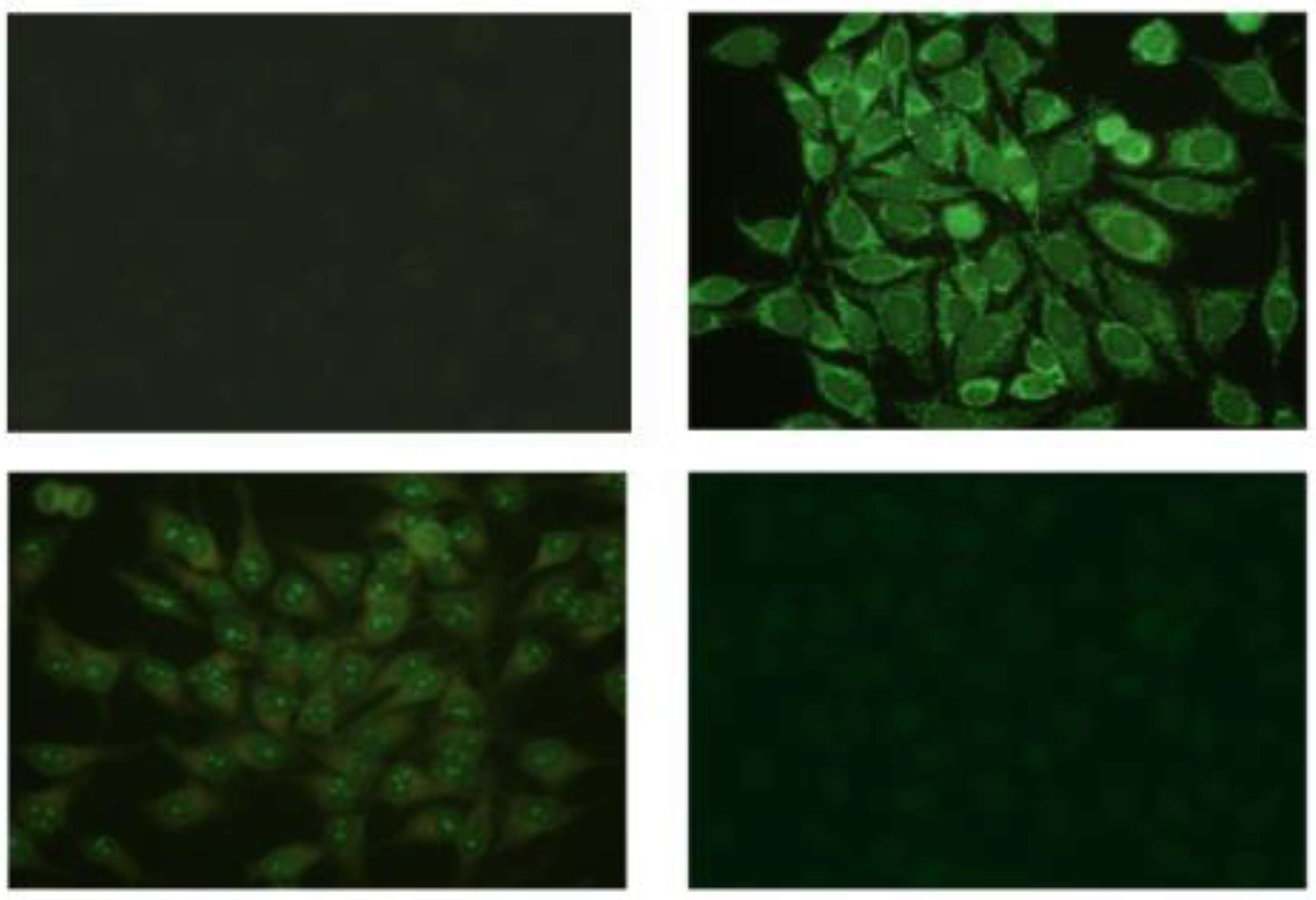 Applsci 10 06940 g001