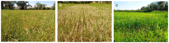 Applsci 10 06949 g0a4