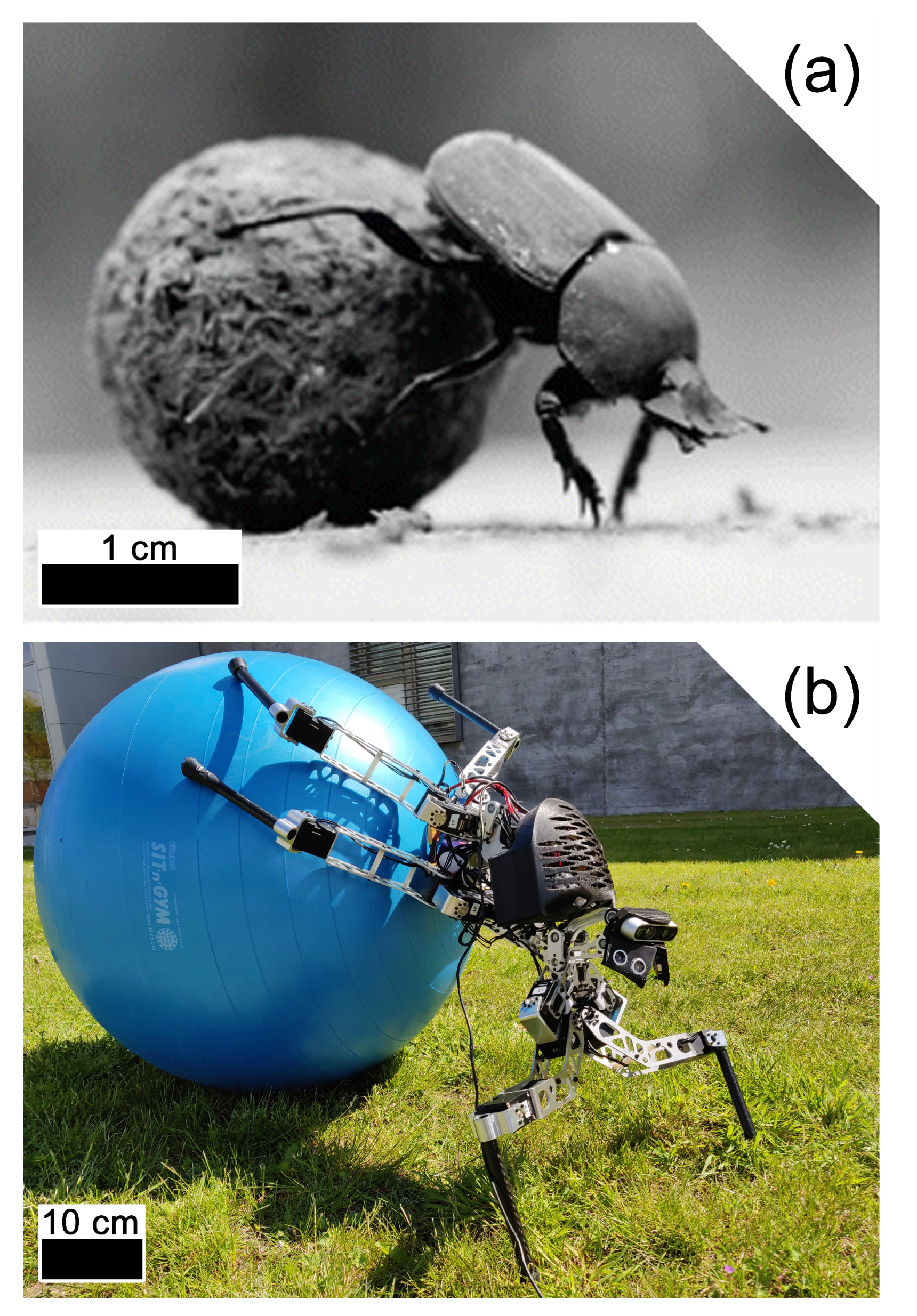 Applsci 10 06986 g002 Applsci 10 06986 g002