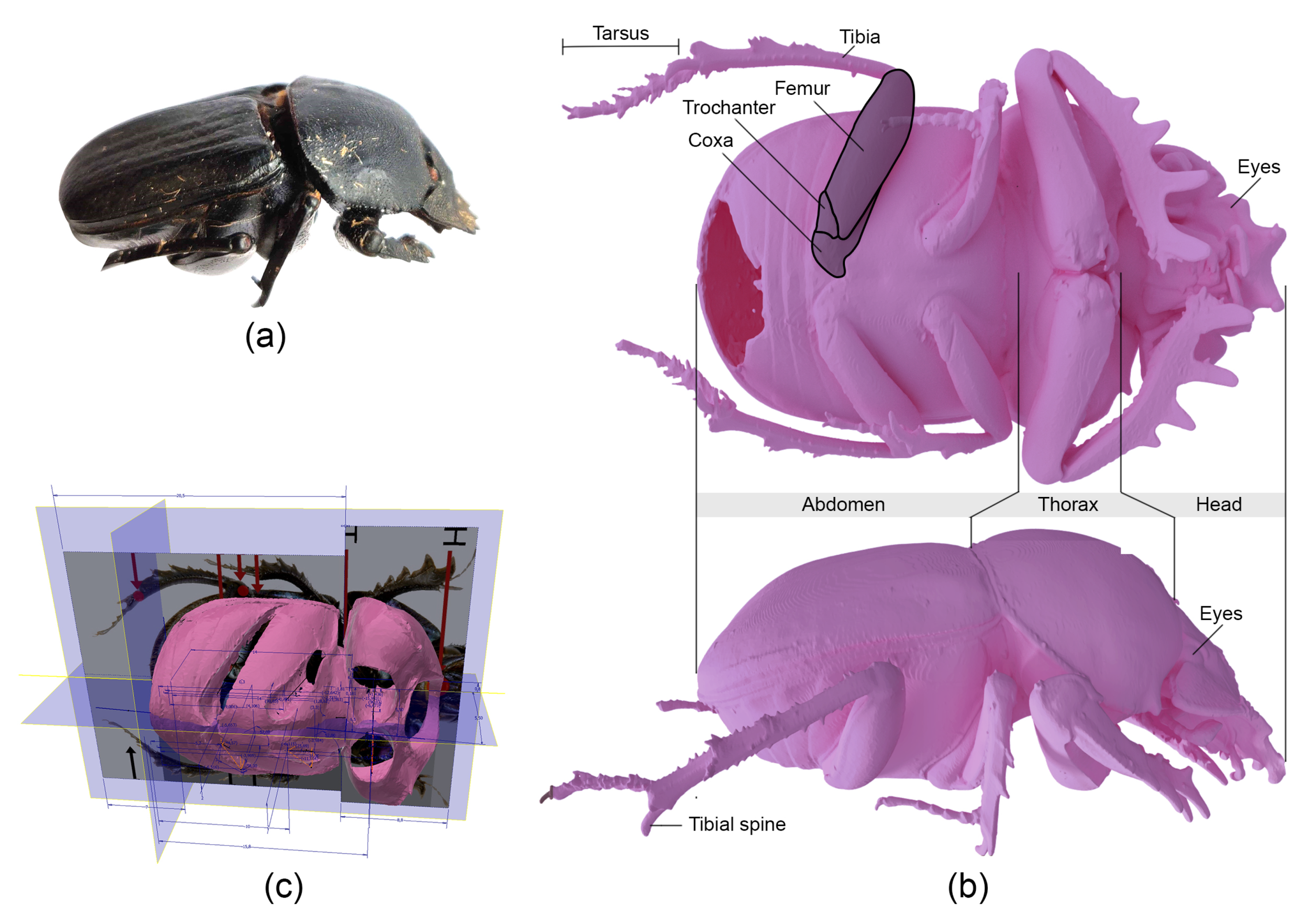 Applsci 10 06986 g004 Applsci 10 06986 g004
