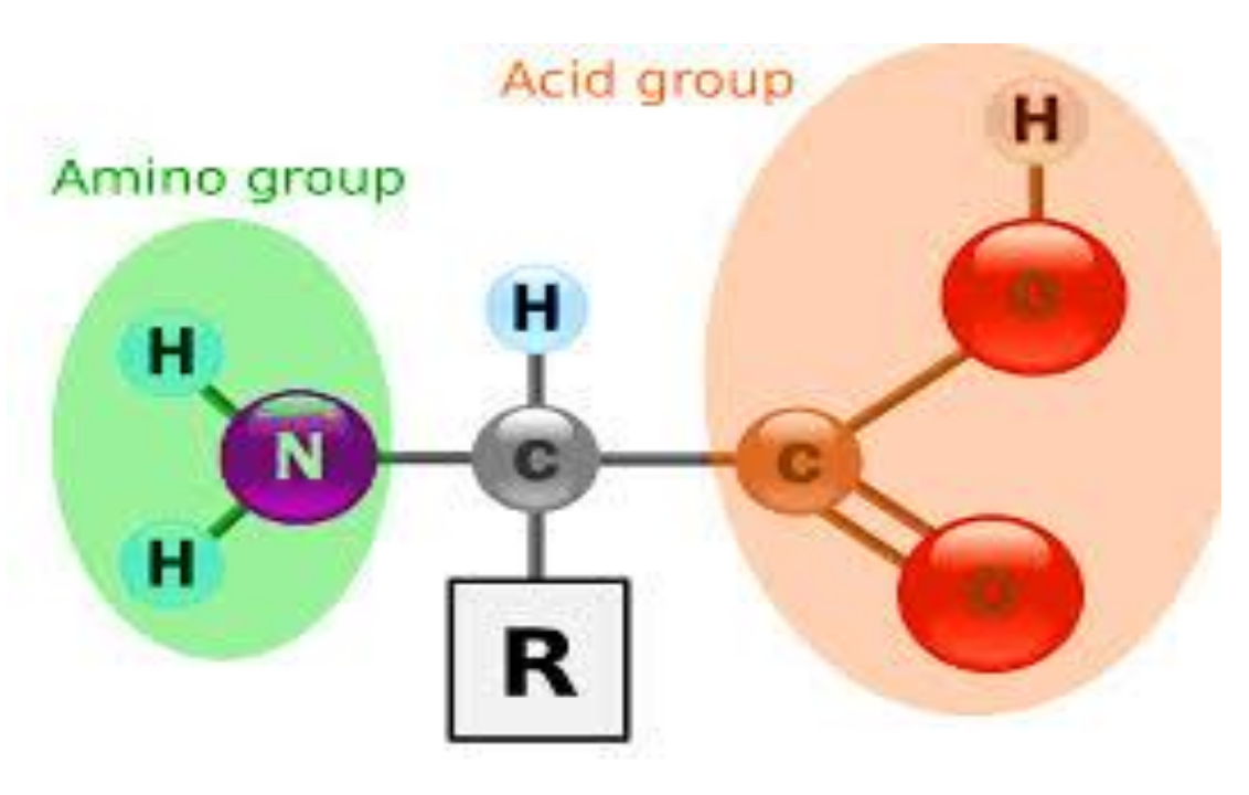 Applsci 10 07023 g001