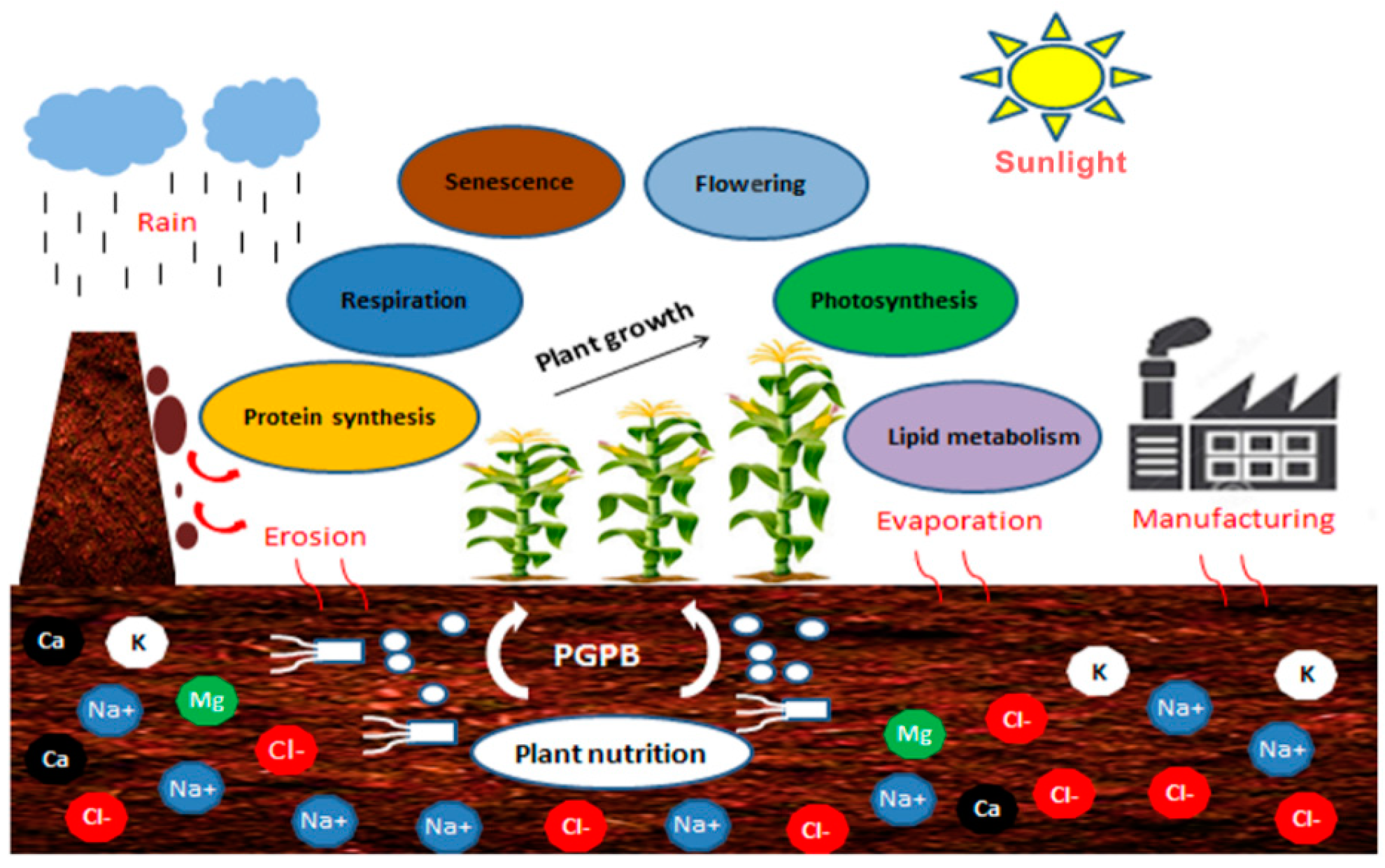 Applsci 10 07025 g001 Applsci 10 07025 g001