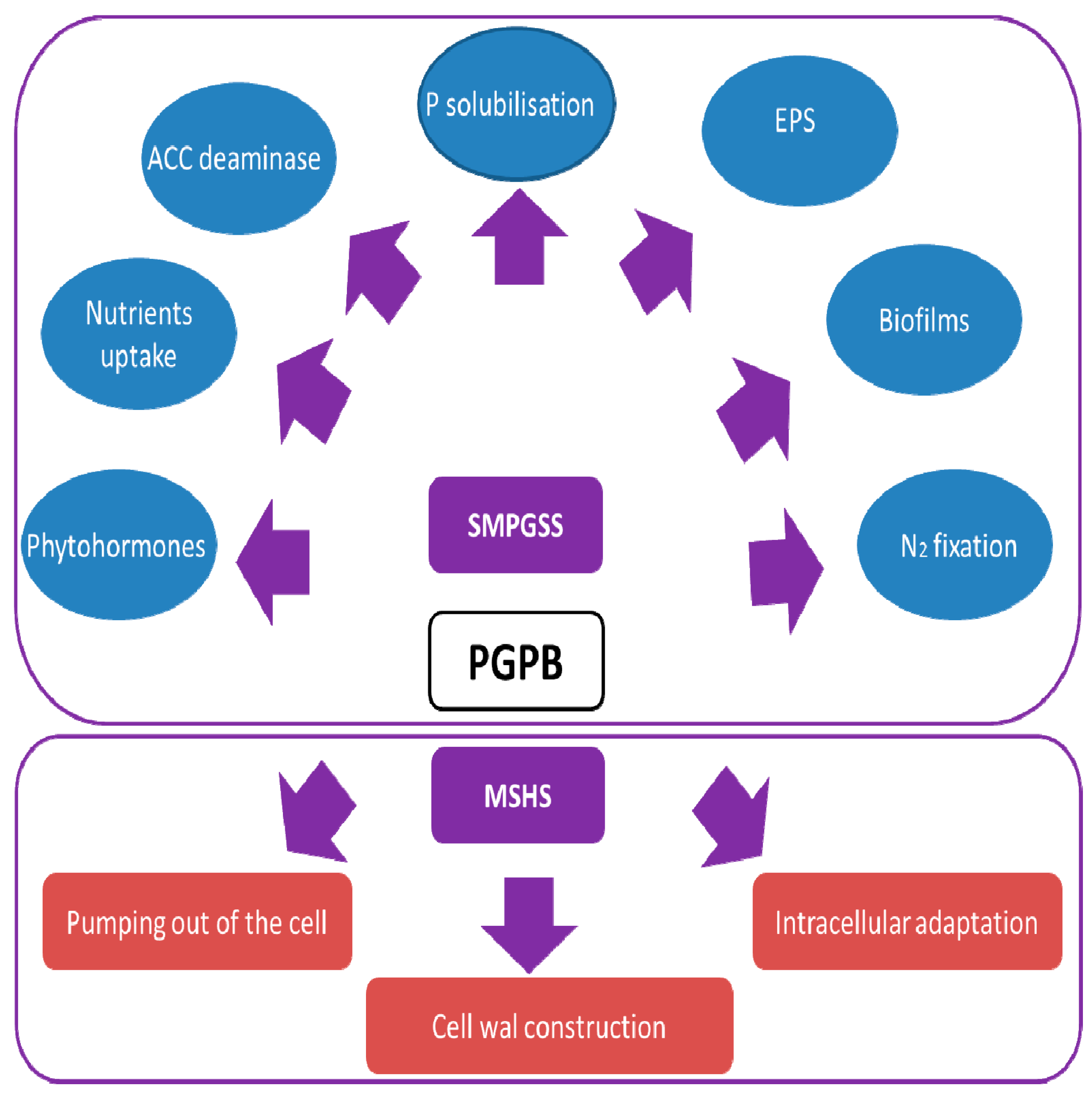 Applsci 10 07025 g002 Applsci 10 07025 g002