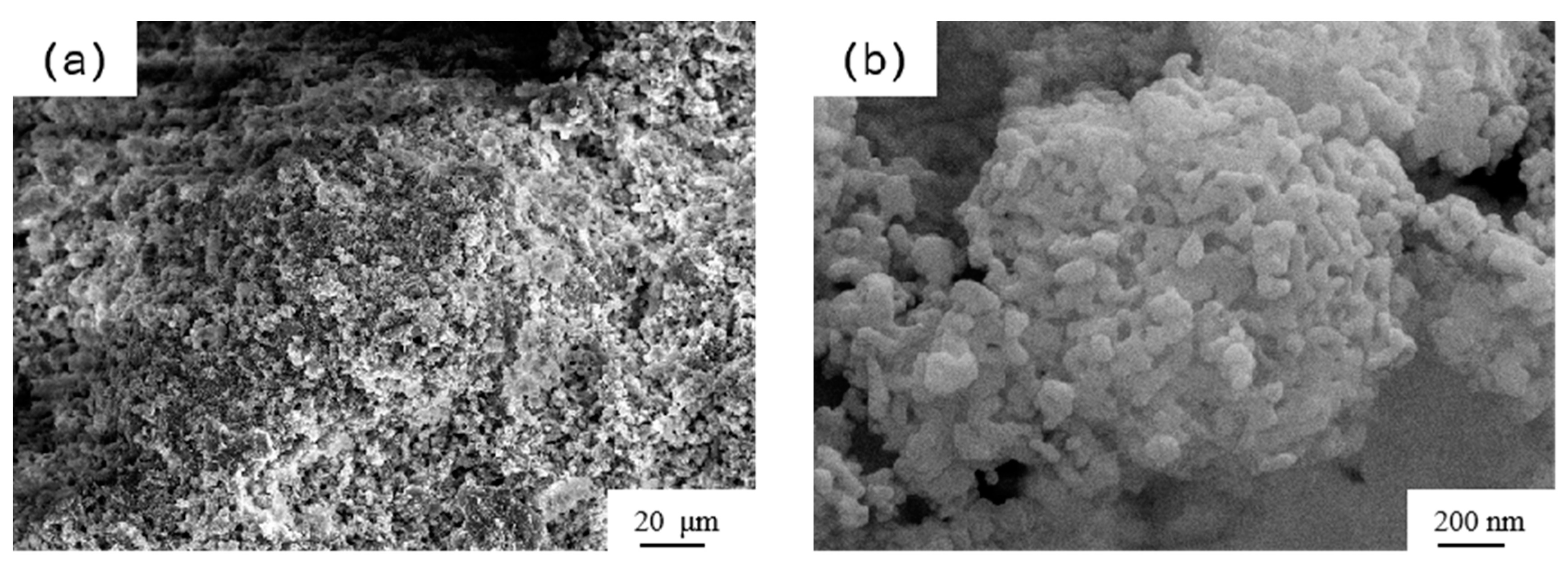 Applsci 10 07026 g002