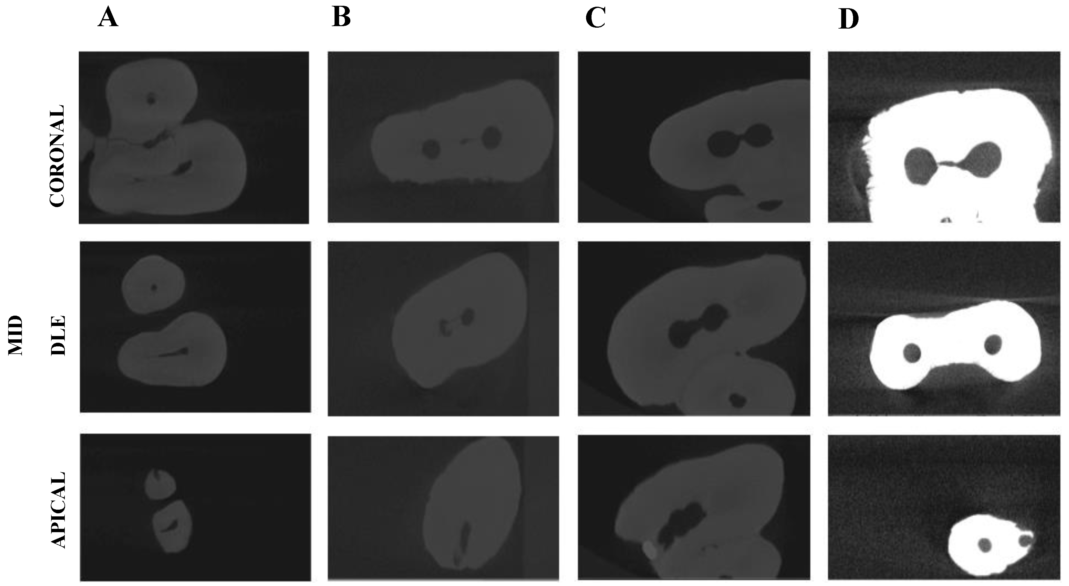 Applsci 10 07033 g001 Applsci 10 07033 g001