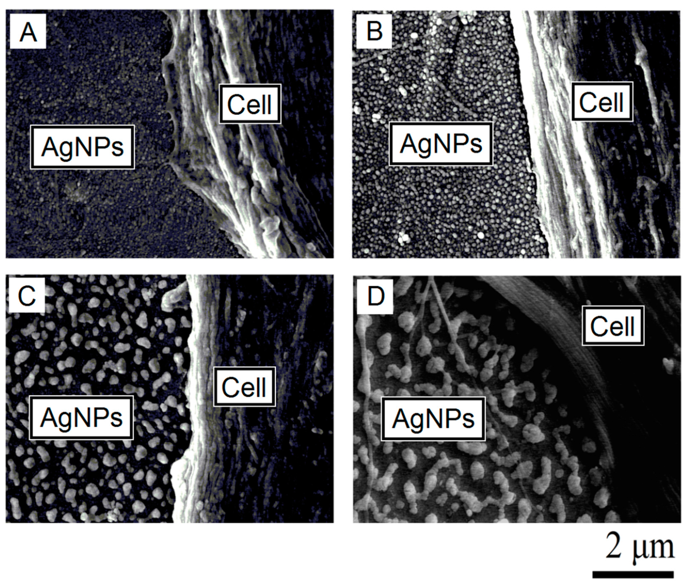 Applsci 10 07063 g007