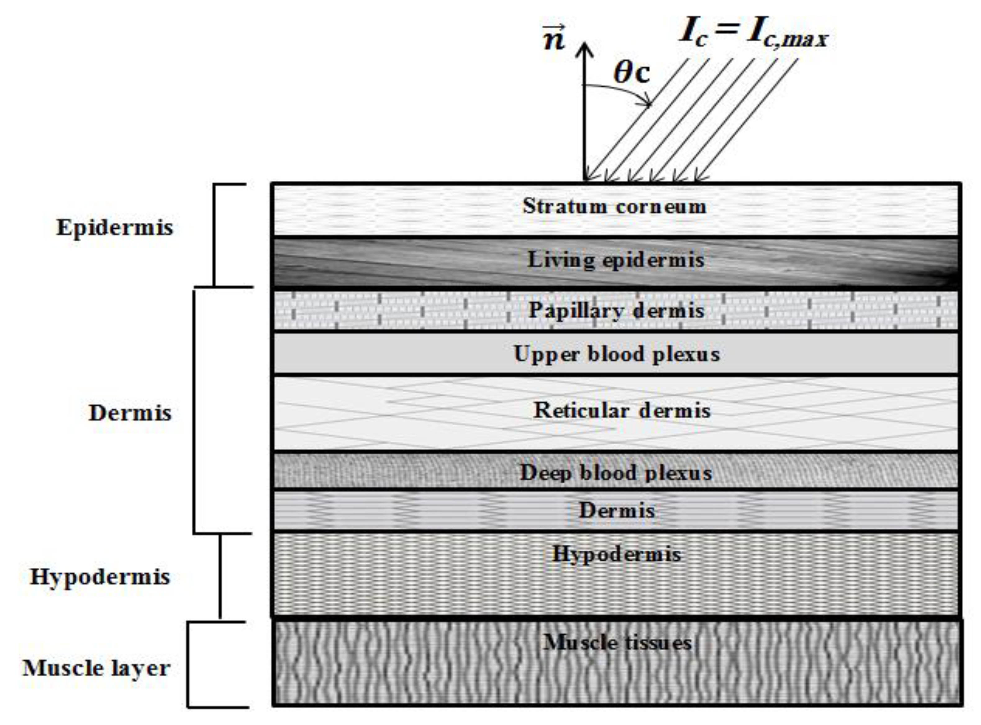 Applsci 10 07090 g001