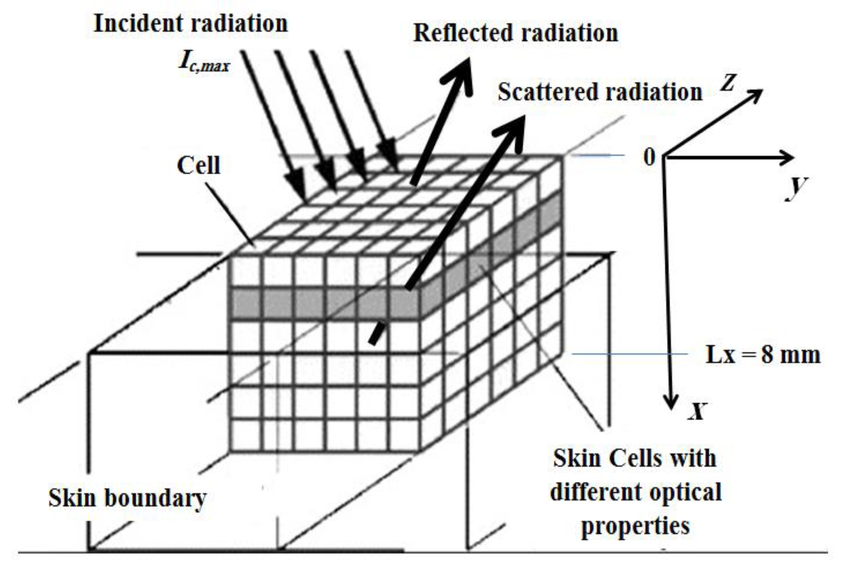 Applsci 10 07090 g002
