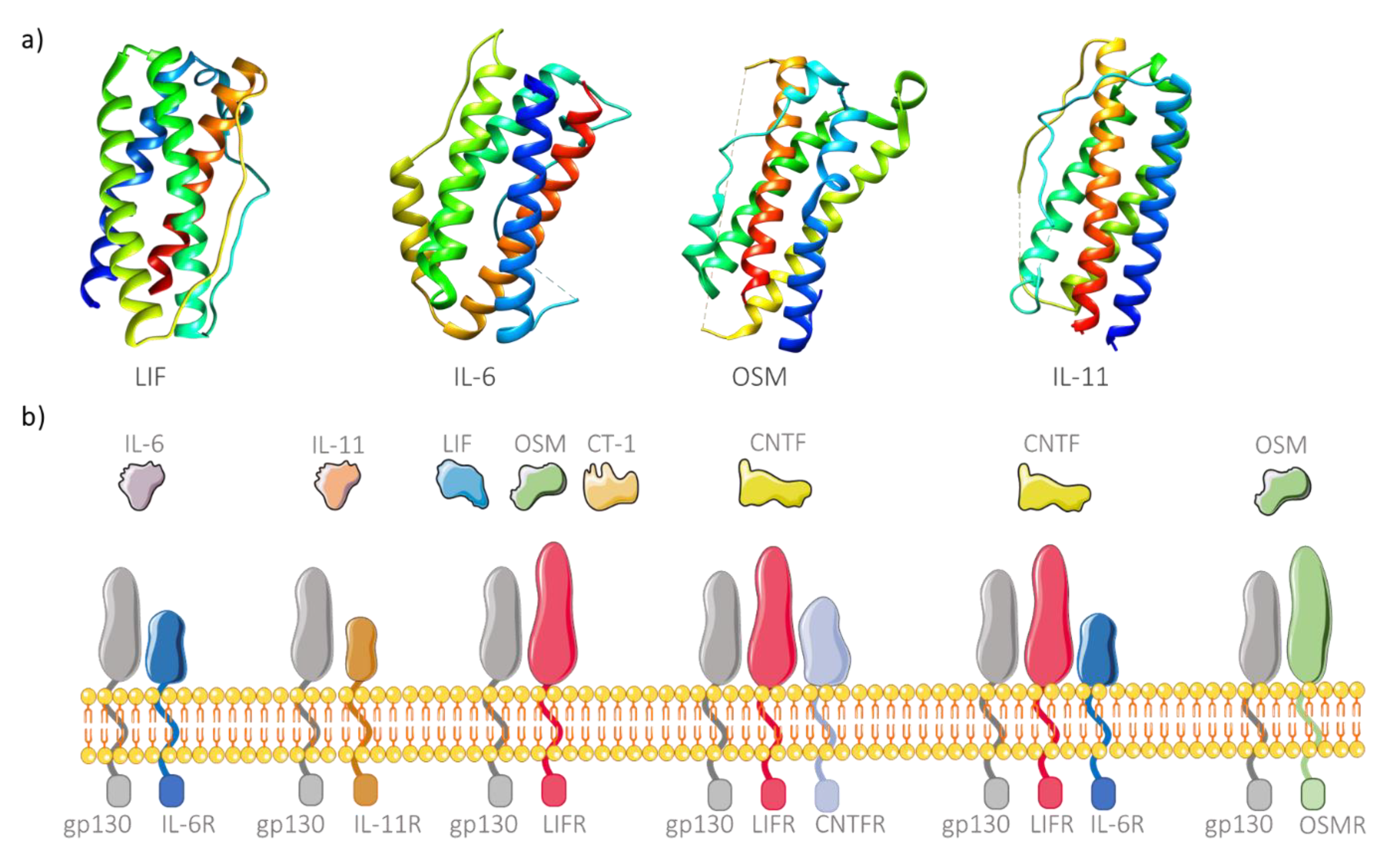Applsci 10 07098 g001