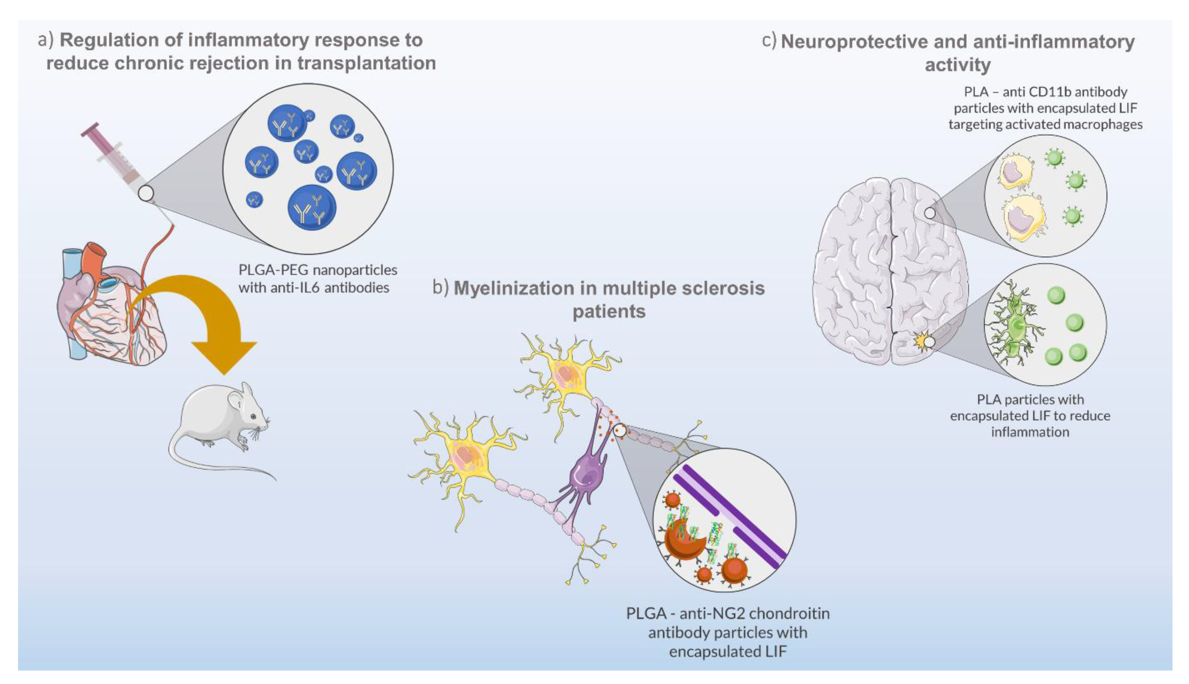 Applsci 10 07098 g002