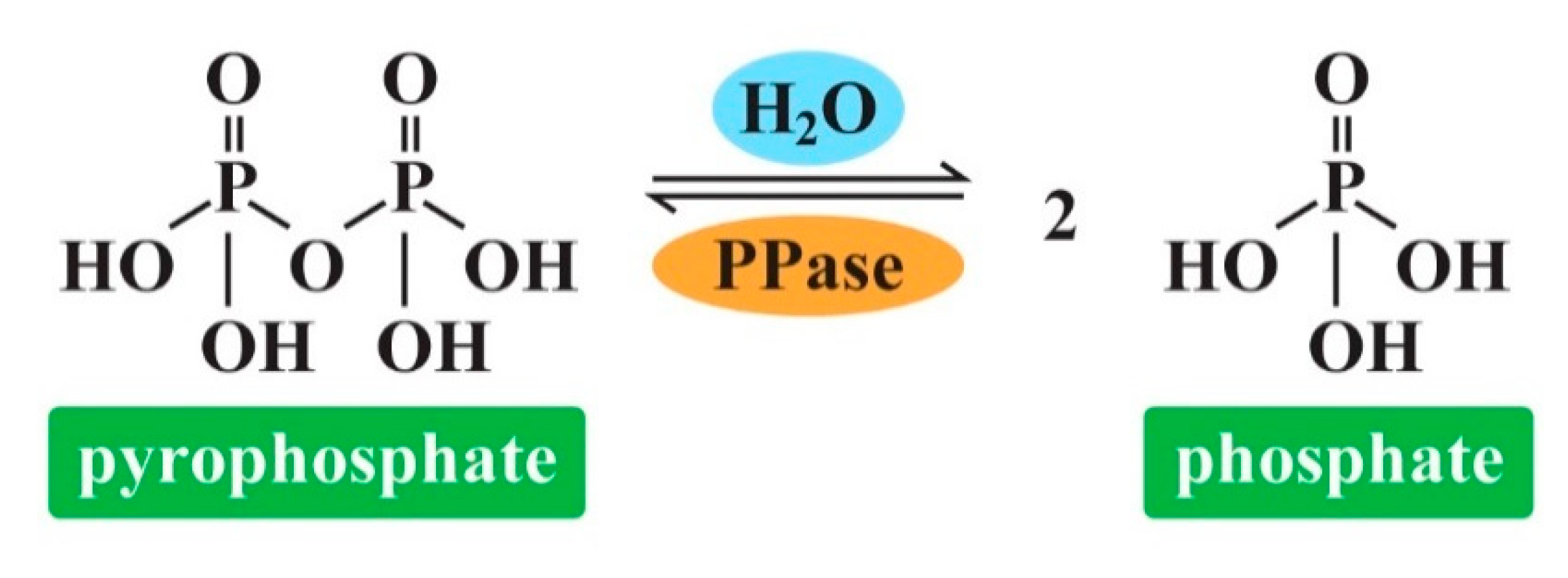 Applsci 10 07100 g001 Applsci 10 07100 g001
