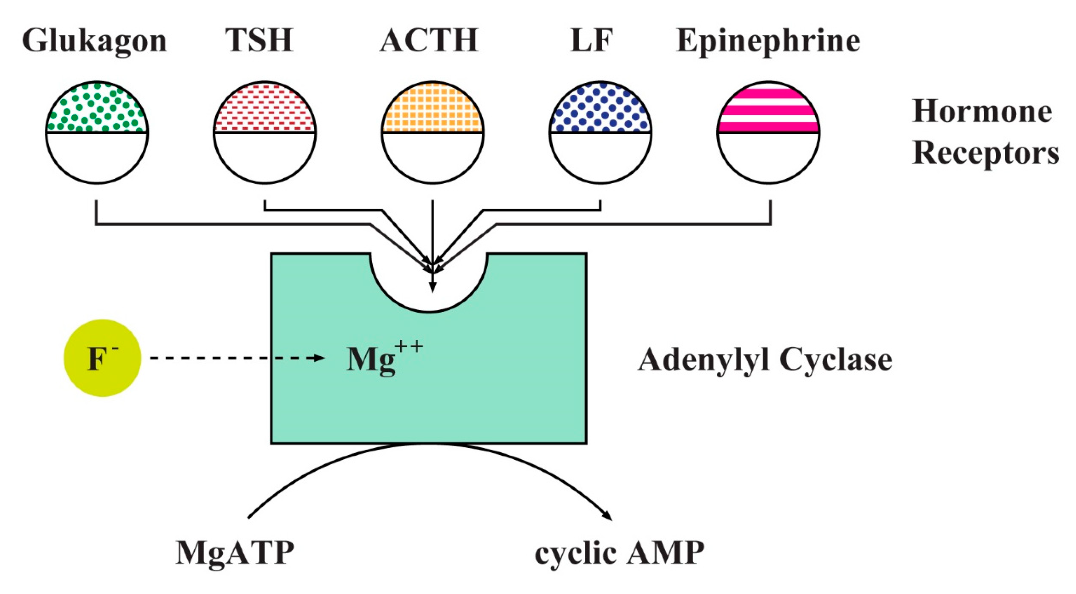 Applsci 10 07100 g002 Applsci 10 07100 g002