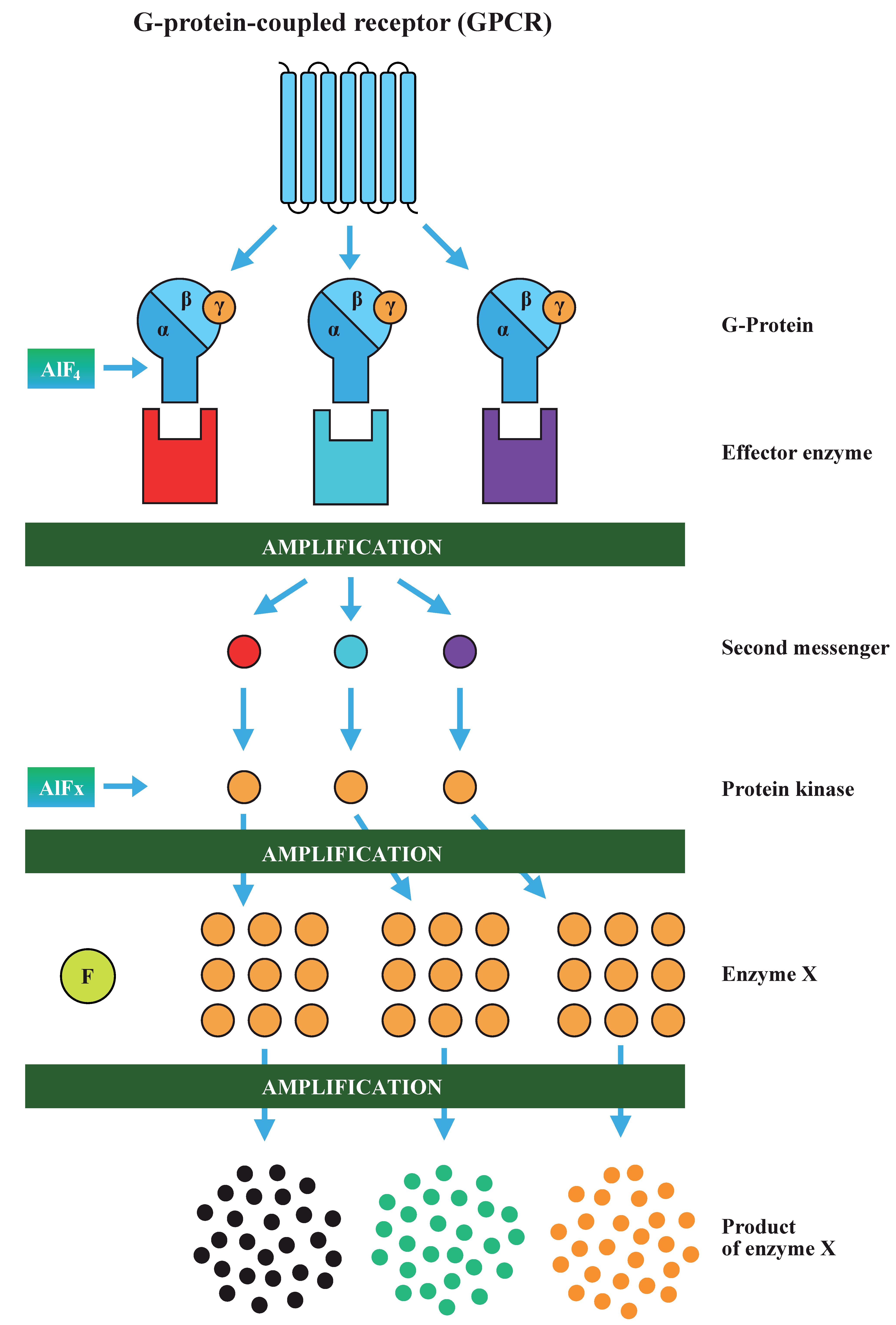 Applsci 10 07100 g003 Applsci 10 07100 g003