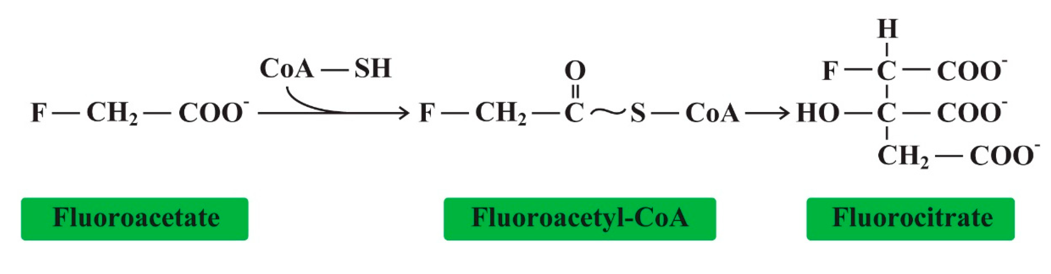Applsci 10 07100 g006 Applsci 10 07100 g006