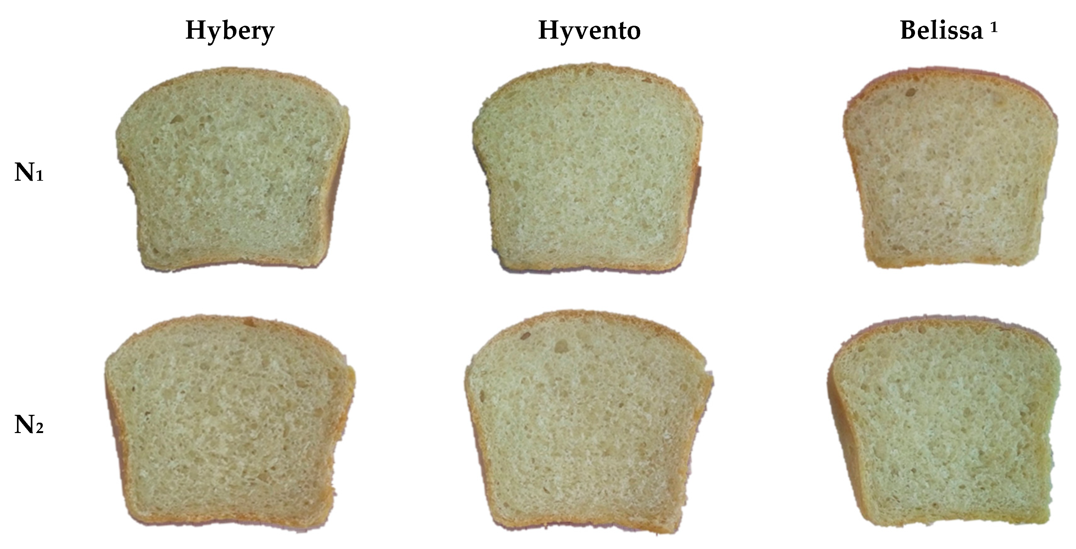 Applsci 10 07104 g001