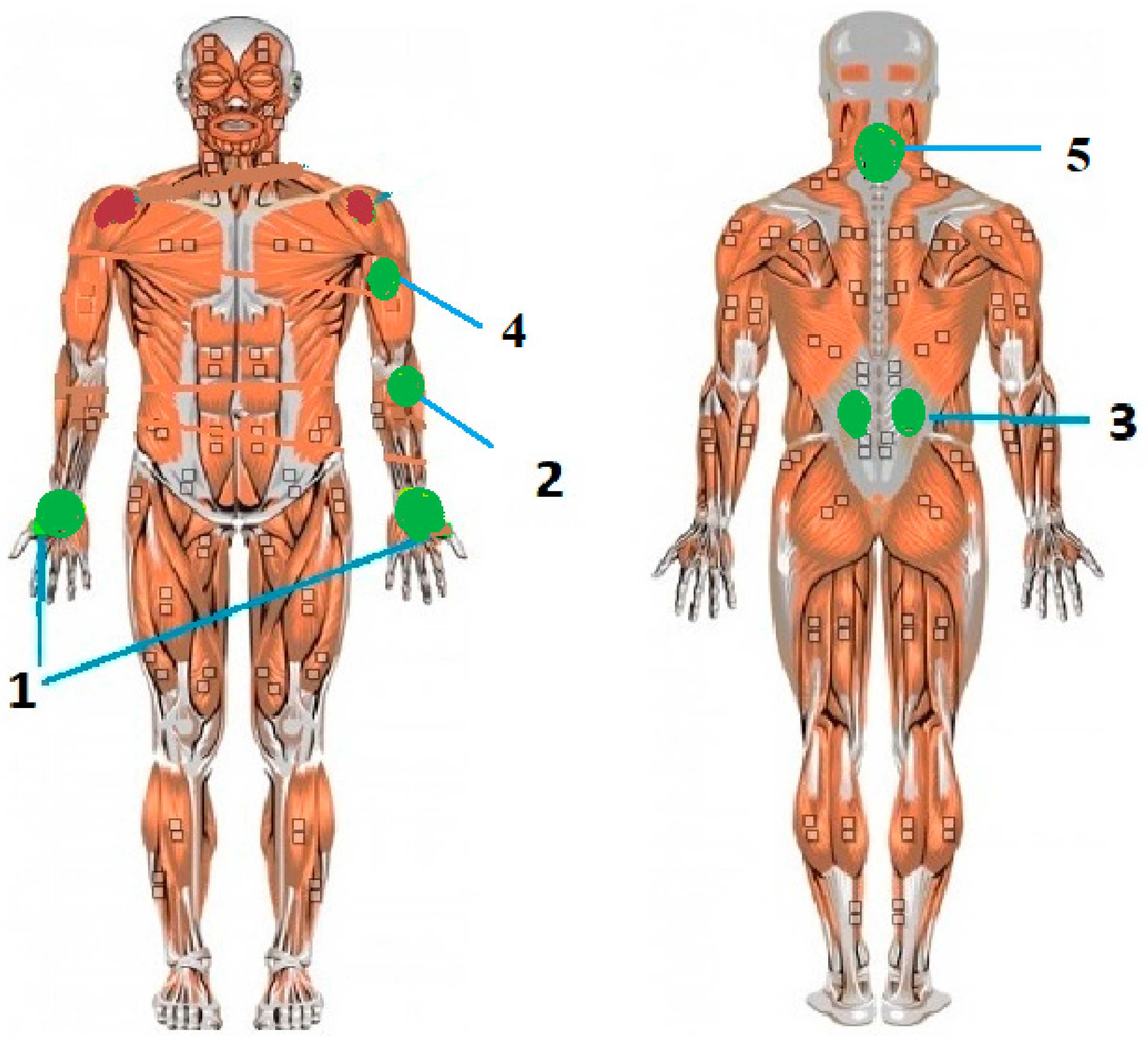 Applsci 10 07125 g001