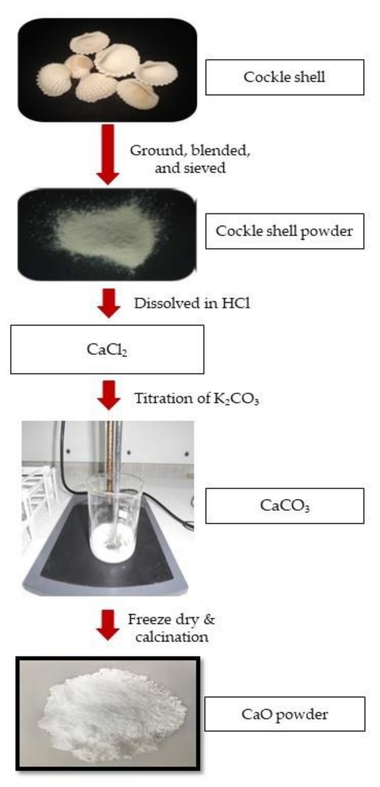 Applsci 10 07170 g001