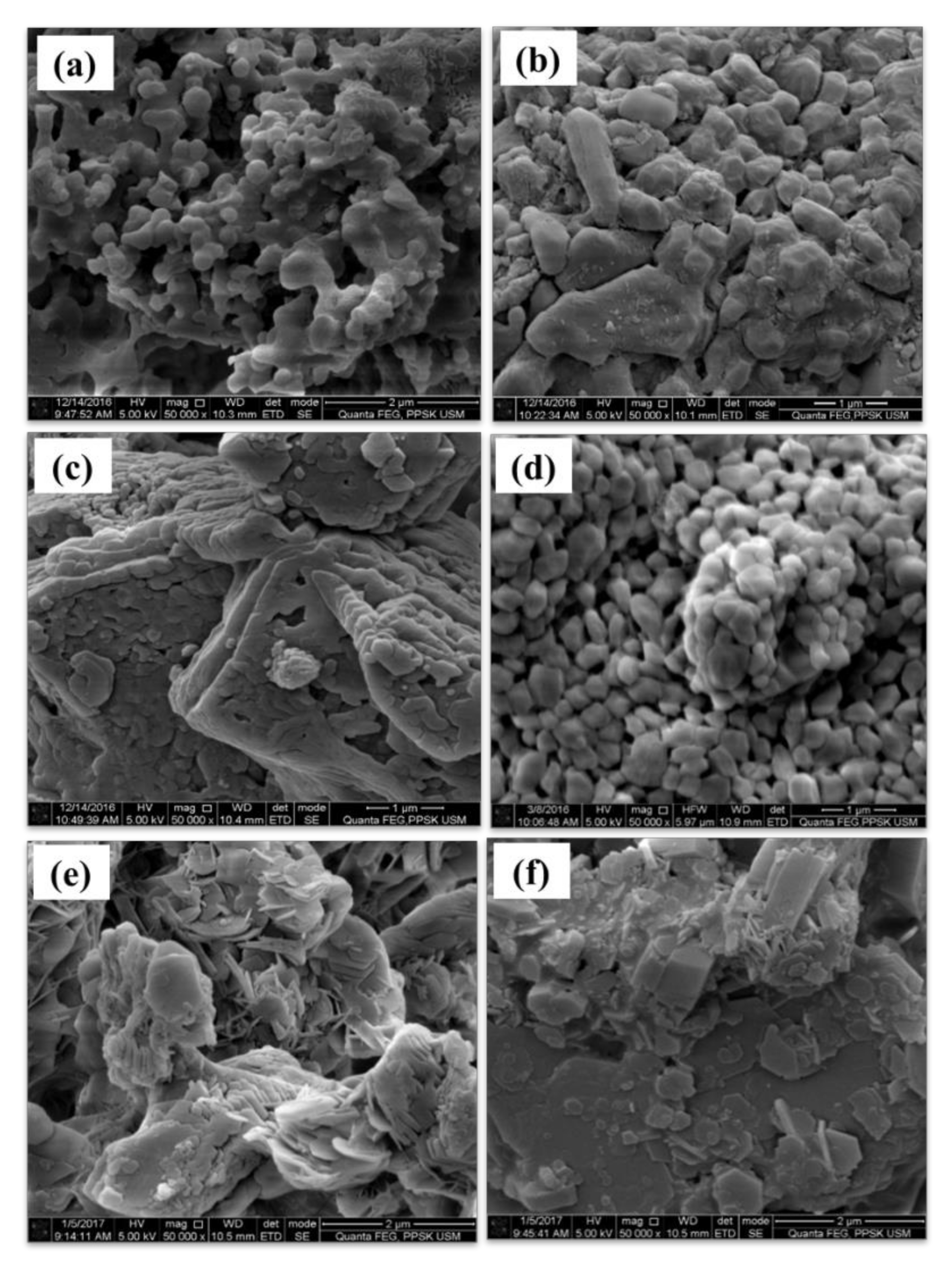 Applsci 10 07170 g002